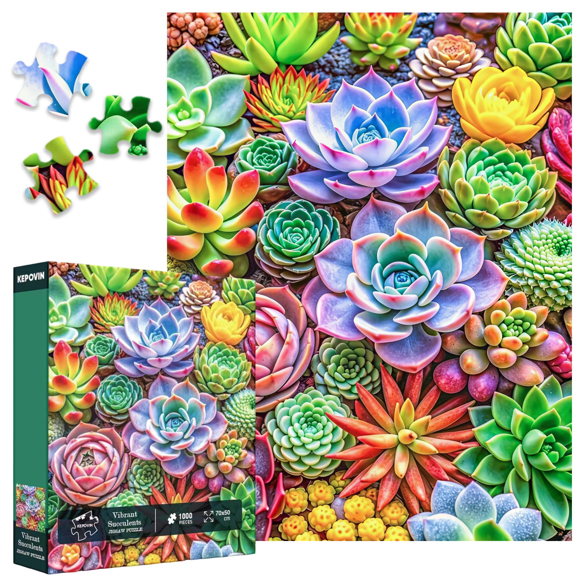 Puzzles for Adults 1000 Pieces Vibrant Succulents โ image 1