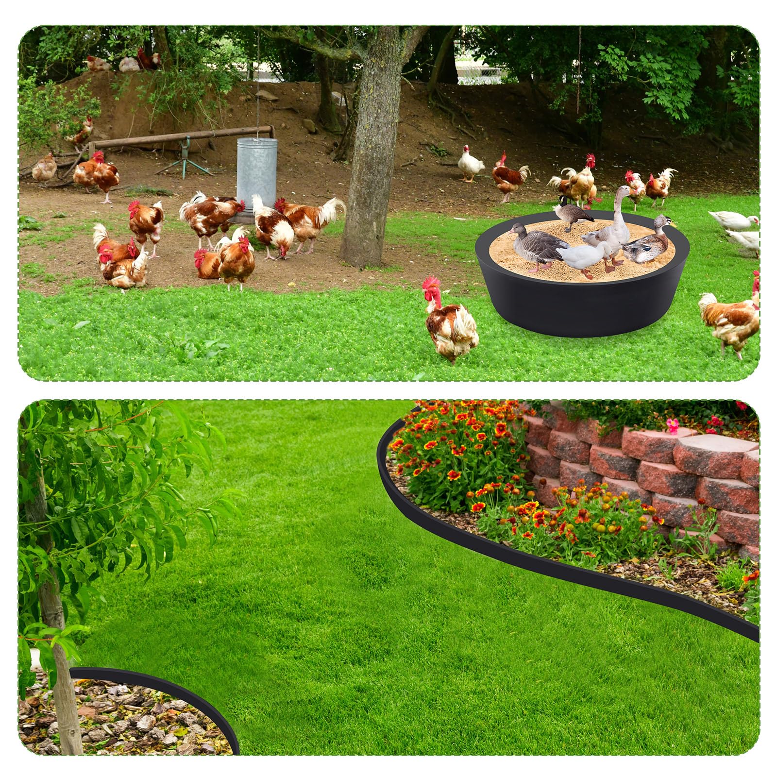 Bottomless Dust Bath Container Chicken House Cleaner Container | Box ...