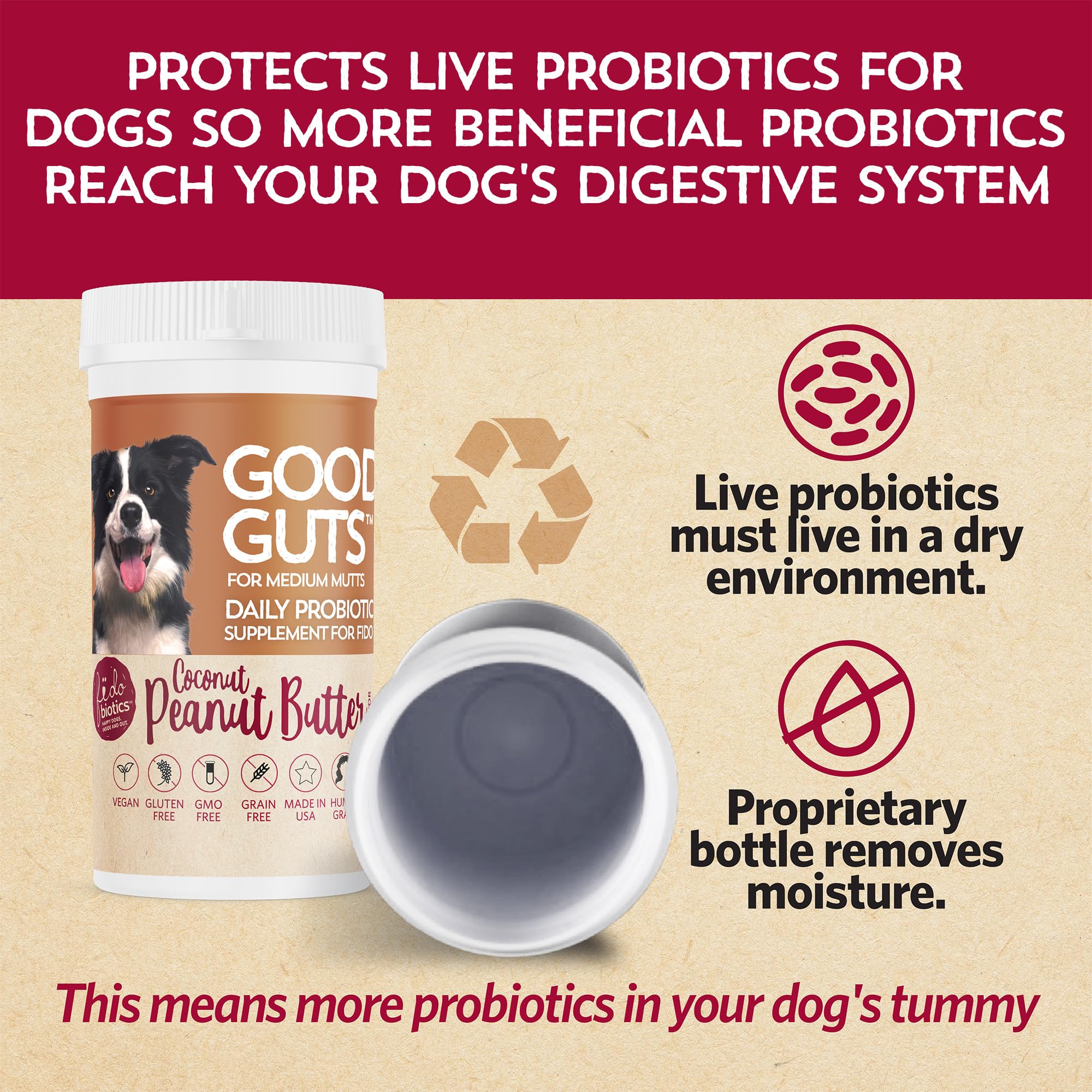 Fidobiotics, Buone viscere, probiotico quotidiano, per medi, burro di arachidi di cocco, 6 miliardi di CFU, 1 oz (30 g)