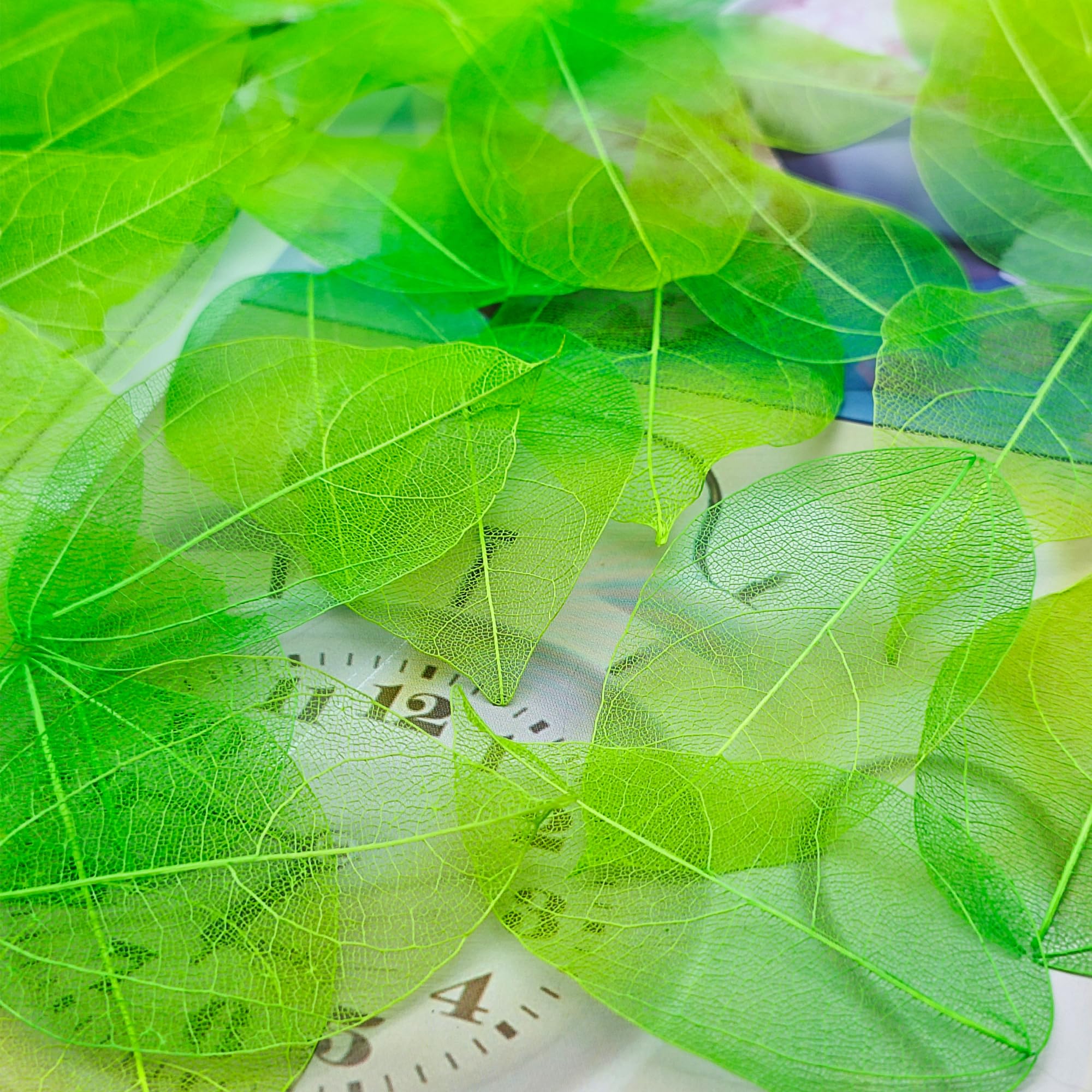 Foglie Scheletro Naturali - 50 Pezzi, Foglie Secche Per DIY, Scrapbooking, Decorazione, Colore Rosa