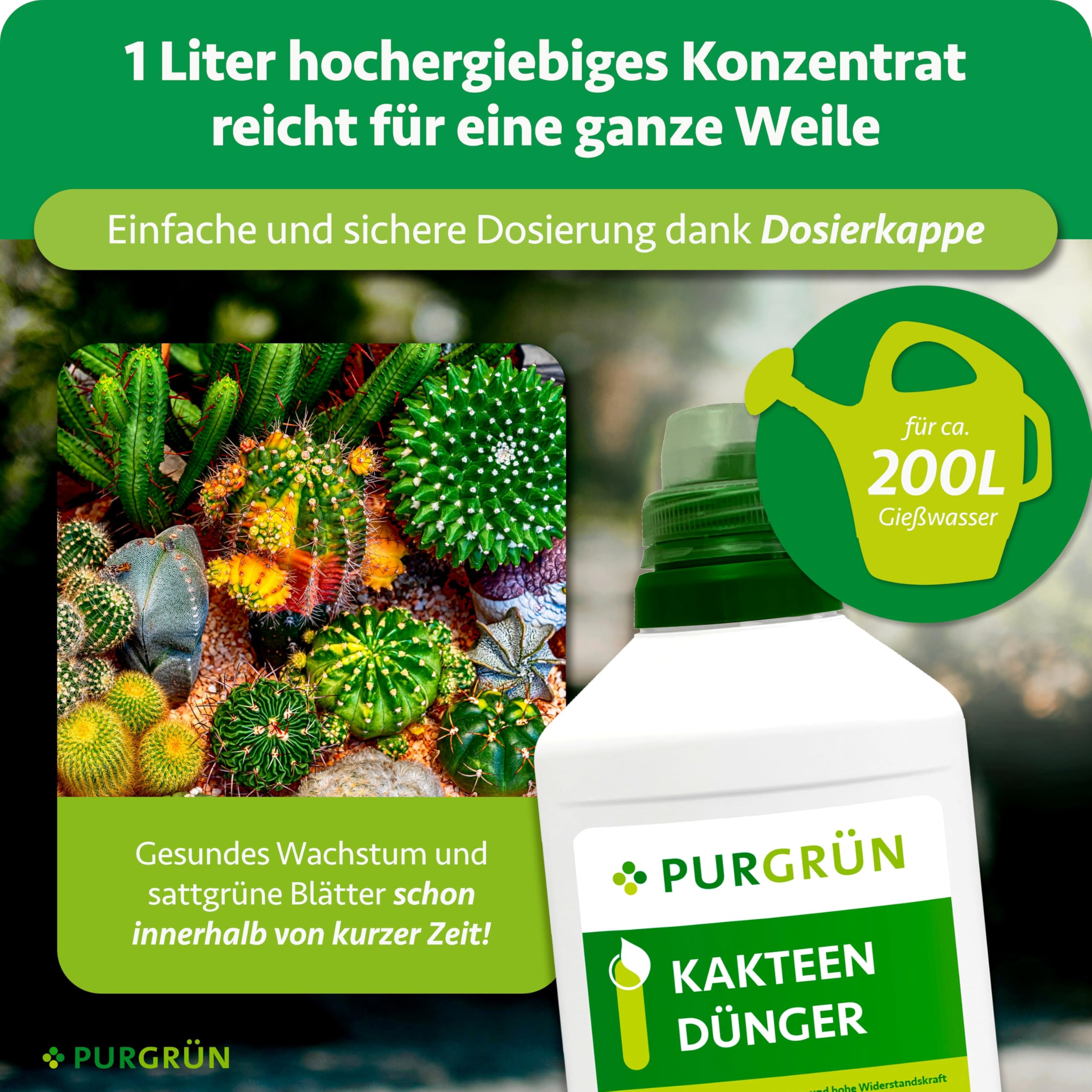 Kakteendünger 1 Liter – Spurennährstoffe für gleichmäßiges Wachstum – Extra Kalium fördert die Widerstandskraft – Ergiebiges Konzentrat für 200 Liter Gießwasser – Premium-Flüssigdünger