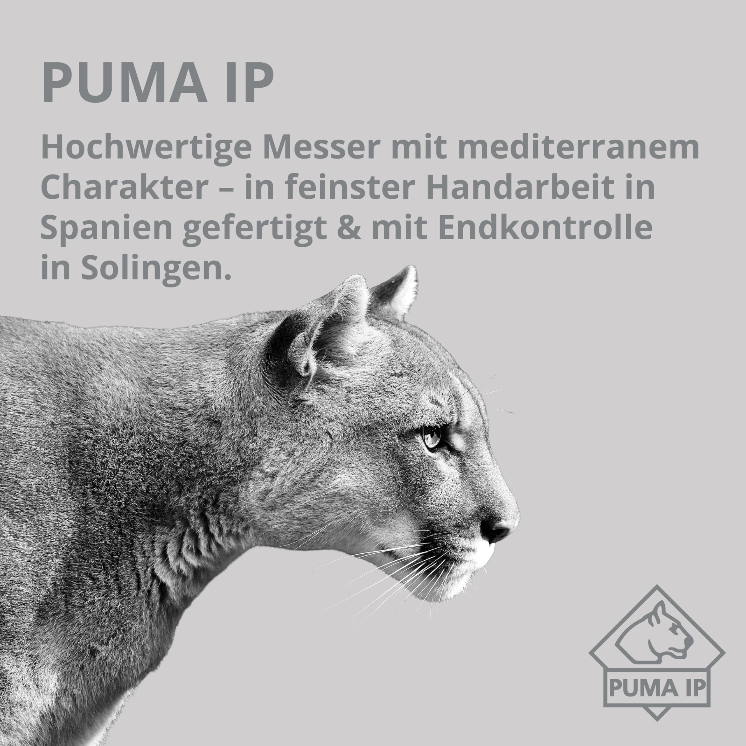 PUMA IP - Montero Stag – Feststehendes Full-Tang Outdoormesser mit Hirschhorn-Griff – handgefertigt - robuste Klinge mit einer Länge von 119mm – Gesamtlänge 234mm – mit hochwertiger Sattellederscheide