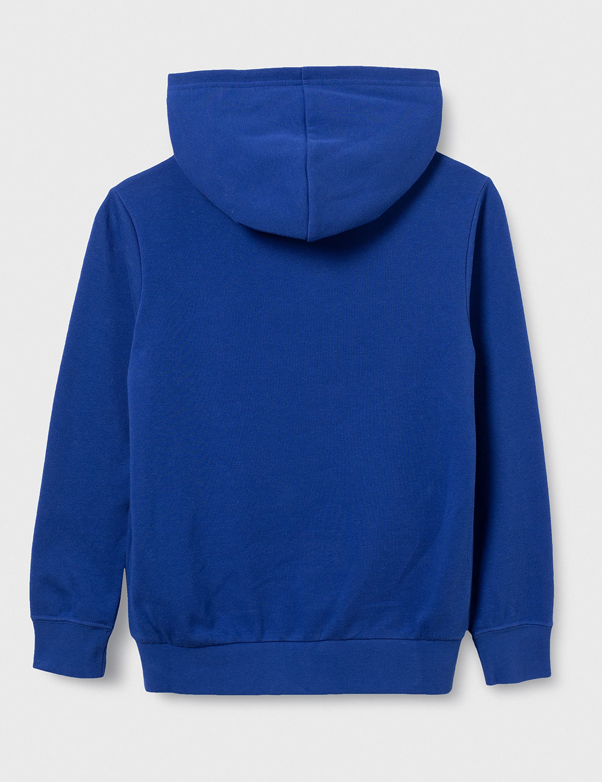 Champion Seasonal Graphic Shop Comics Hooded Sweatshirt Sudadera con Capucha Niños