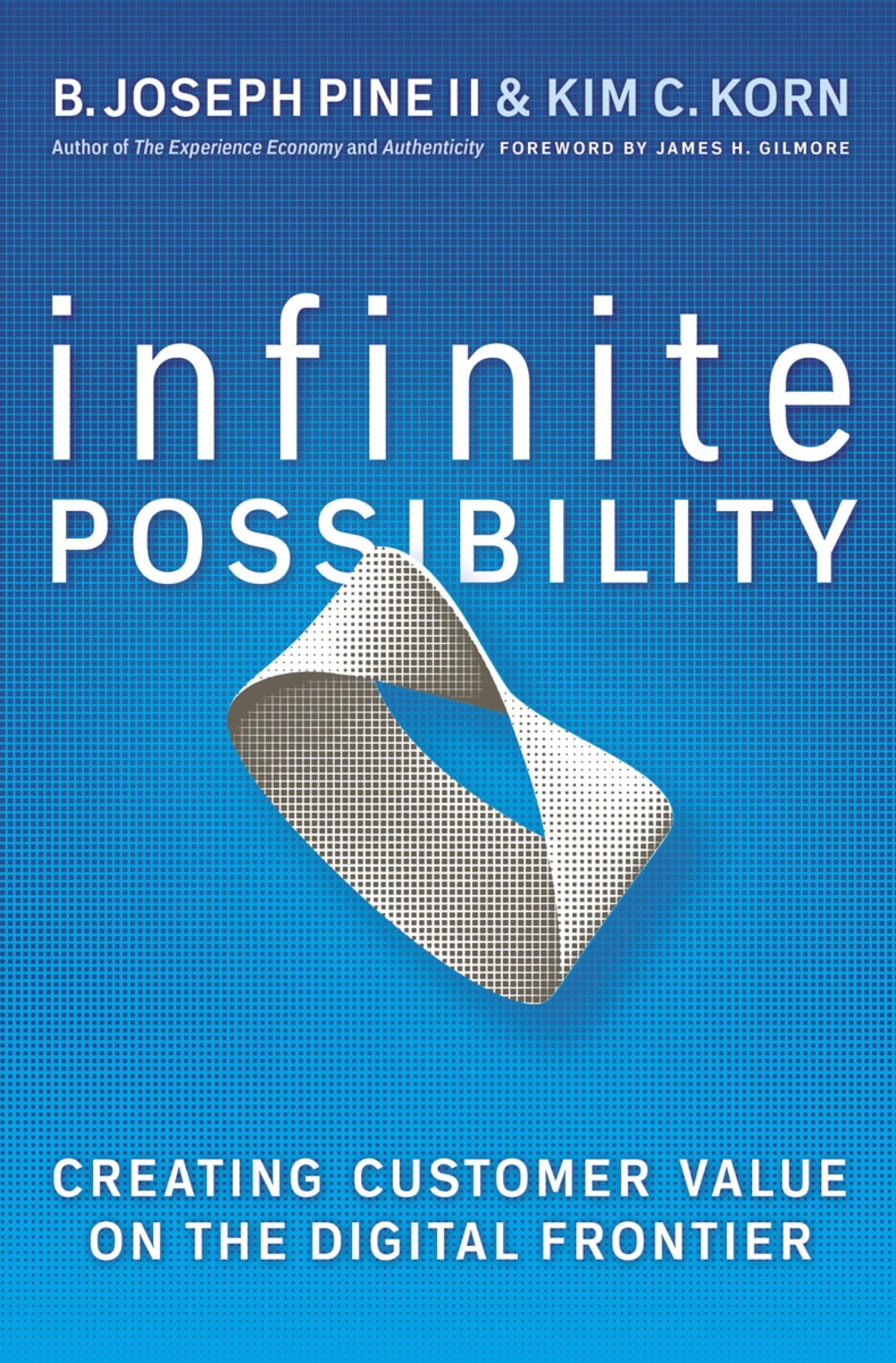 Buy Infinite Possibility: Creating Customer Value on the Digital Frontier (AGENCY/DISTRIBUTED) — BookShops.in