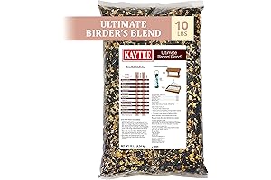 Birds Paradise: Kaytee Fruit & Nut Wild Bird Food - Tailored Nutrition for Feathered Friends