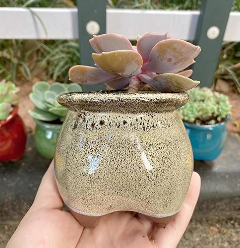 Miniatura 7 de Juego de 4 macetas para suculentas esmaltadas a mano, pequeñas macetas de cerámica para suculentas, bonitas macetas de colores mezclados