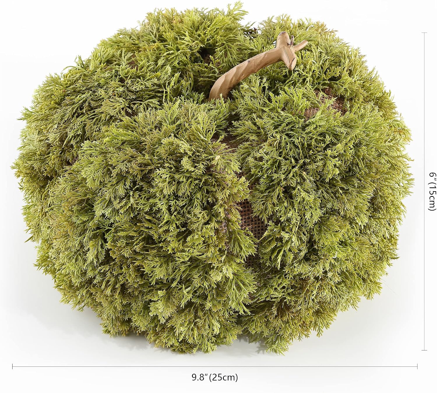 SAFAVIEH Home Collection 10-inch Decorative Artificial Moss Pumpkin (Fully Assembled)