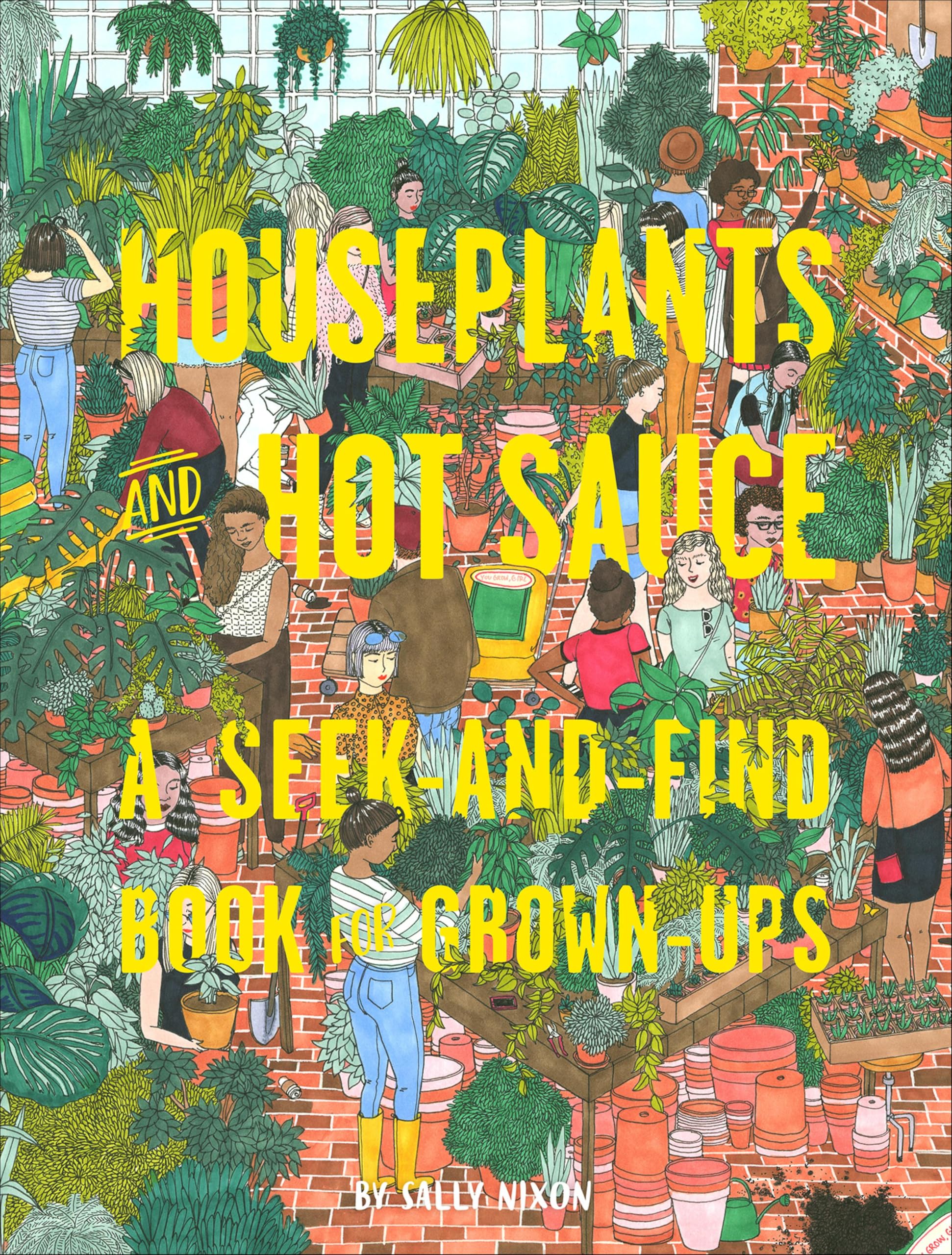 Livre Seek-and-Find Book for Grown-Ups pour vos soirées cocooning