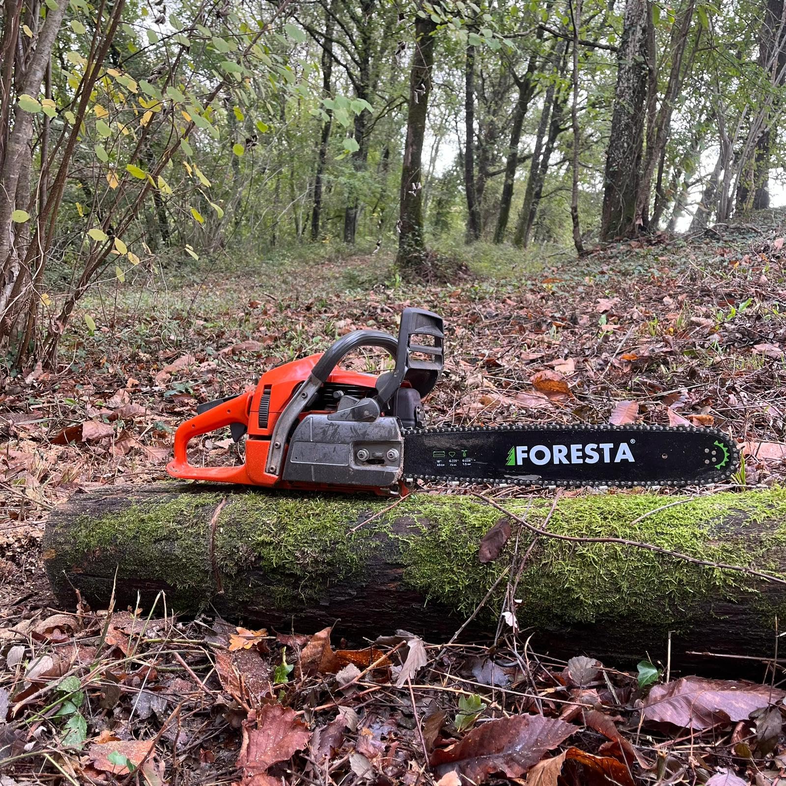 FORESTA Guide chaine de tronçonneuse 0.325" 0.058" 72 entraineurs 45 cm de coupe convient pour Oregon 188SLGK095, 188VXLGK095, 188PXBK095