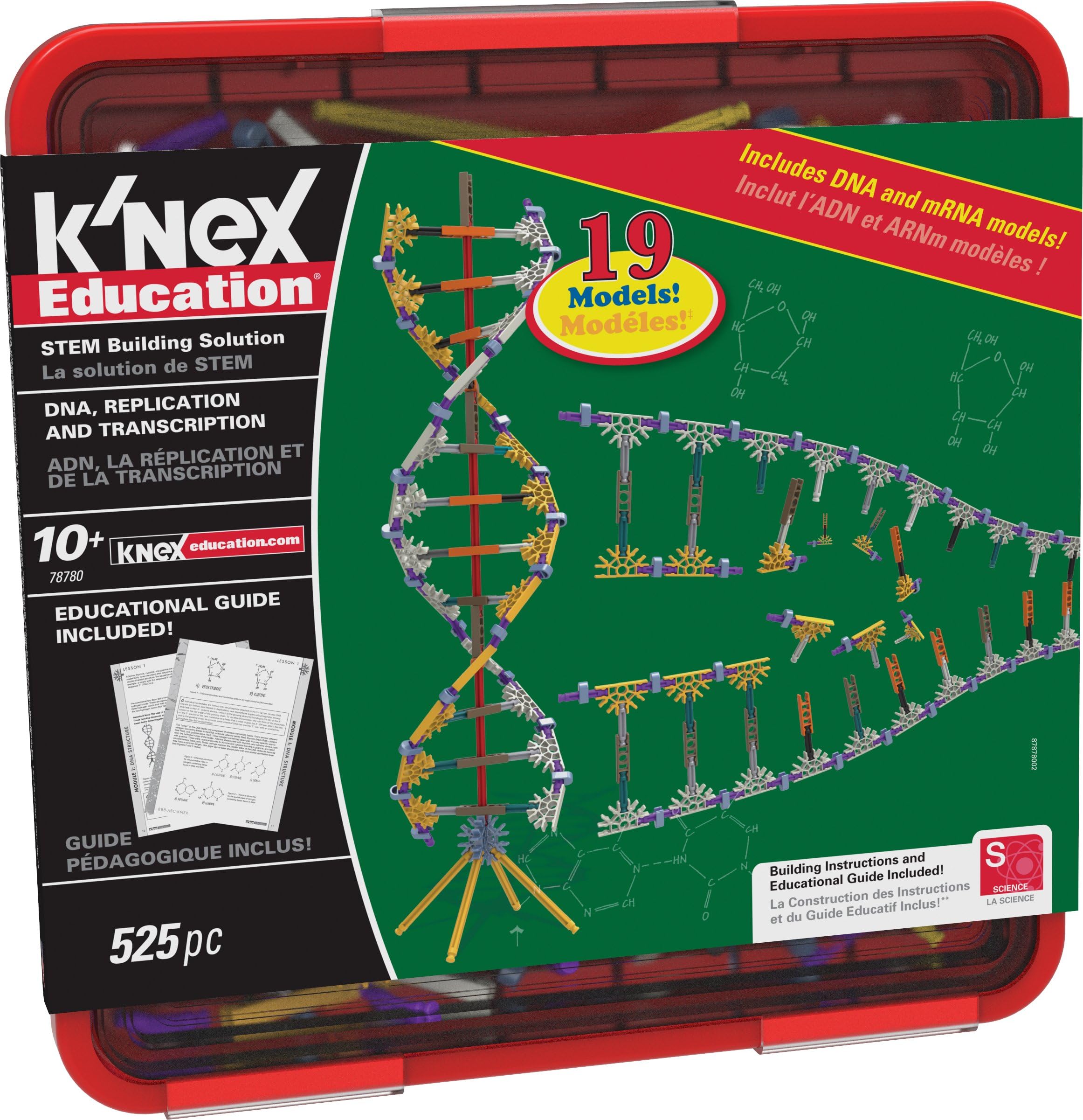 K'NEX Education DNA/Replication and Transcription Set