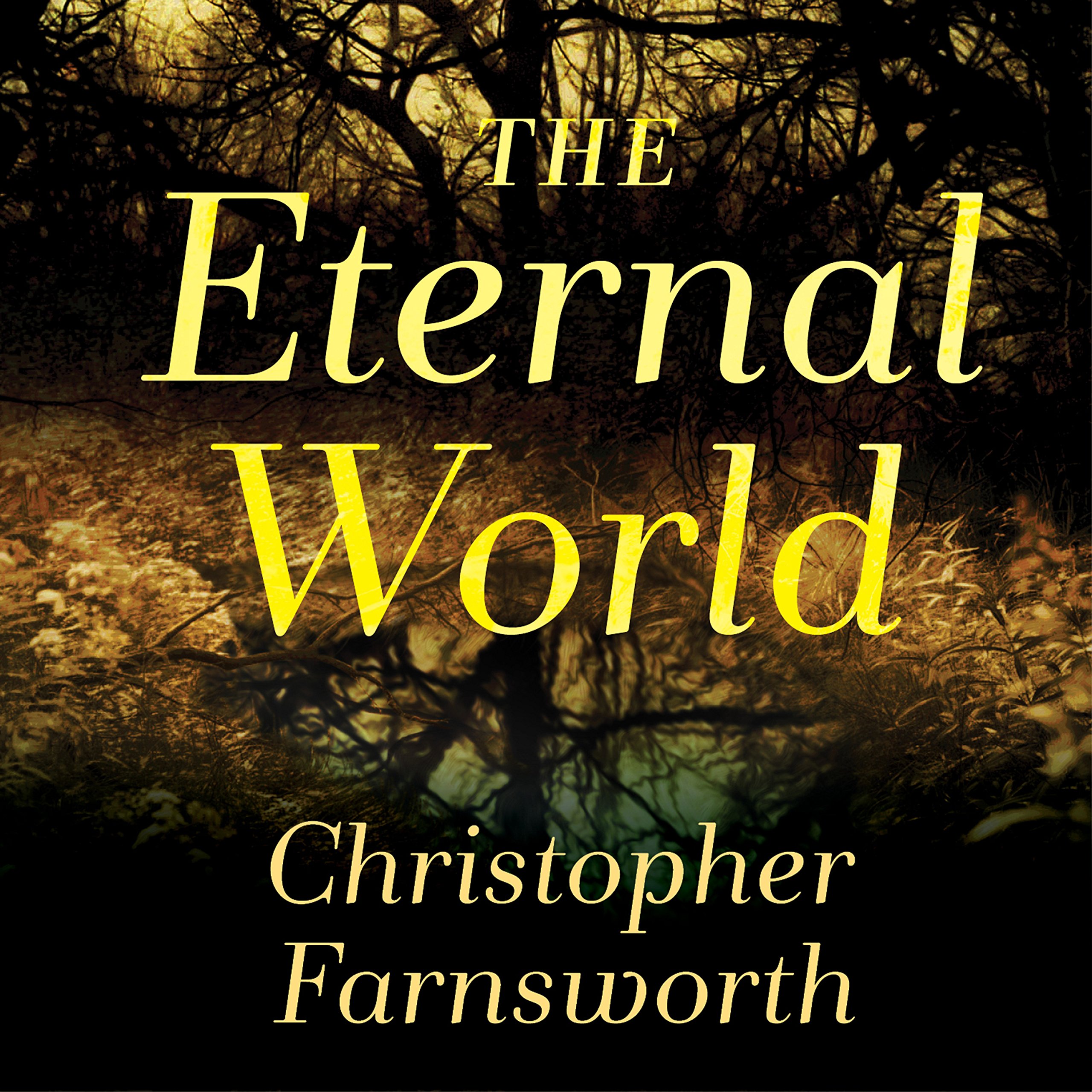 Cover art for The Eternal World