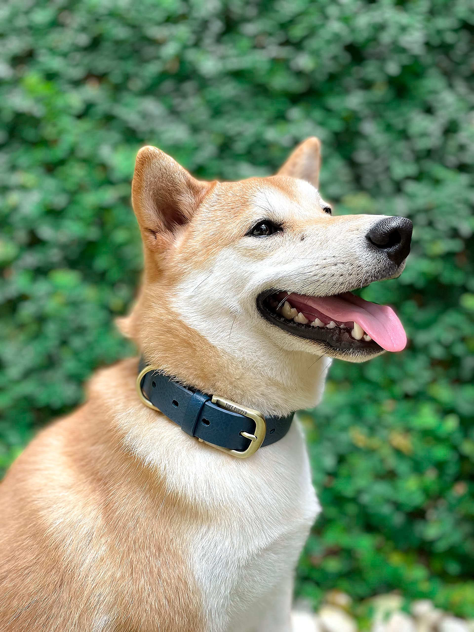 Tuff Pupper Collar clásico para Perro Resistente | 10 Veces más Resistente Que el Cuero | Collar para Perro 100% Impermeable y a Prueba de olores | Hardware Totalmente metálico Resistente oxidación