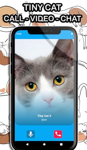 Tiny Cat Video Call - Live voice & Video from pet cat and Texting simulated - Video prank | NO ADS