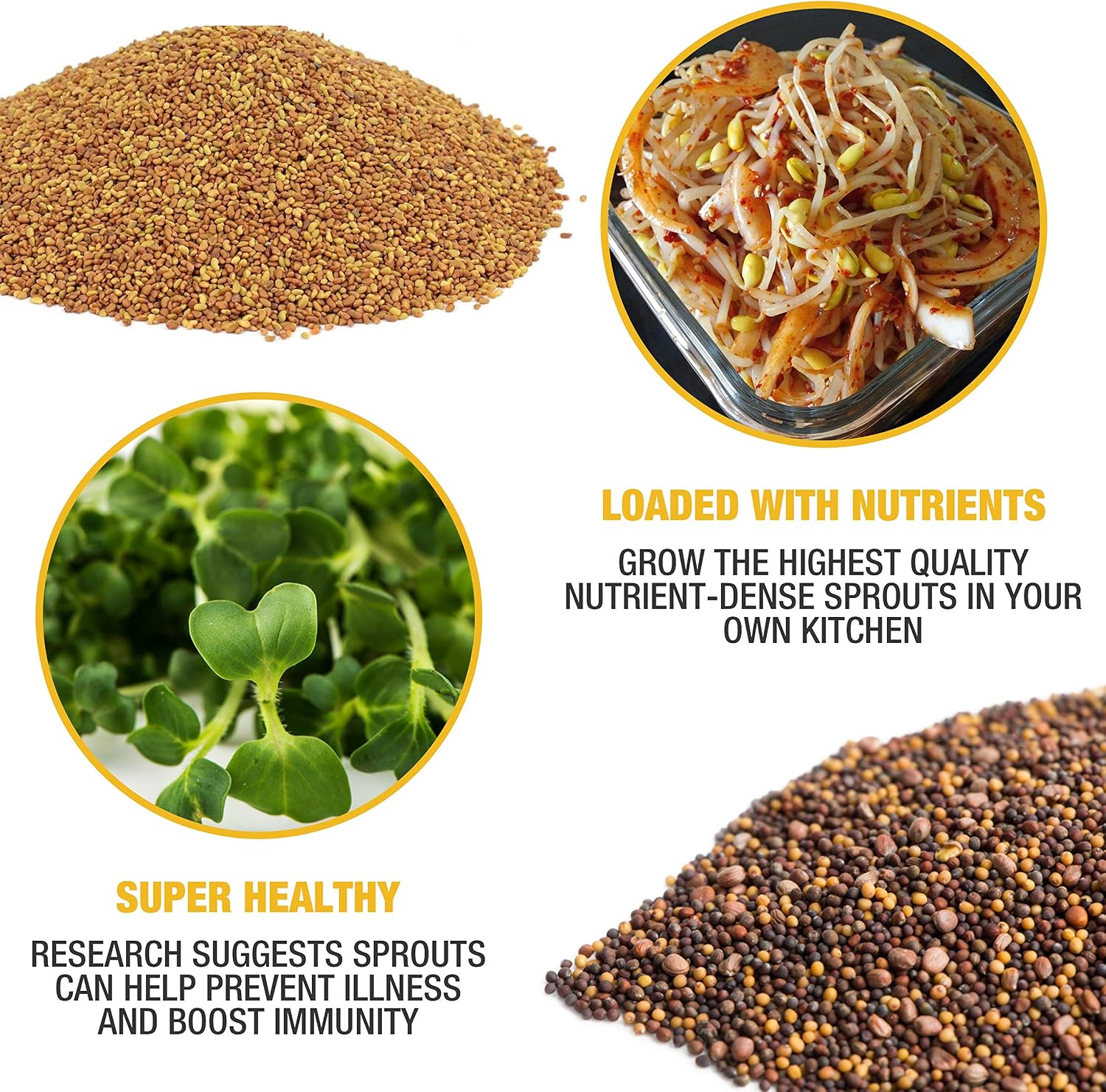 Mumm's Sprouting Seeds - Starter Sample Pack - 625 GR - Organic Sprout Seed Kit - Broccoli, Radish, Alfalfa, Mung Bean