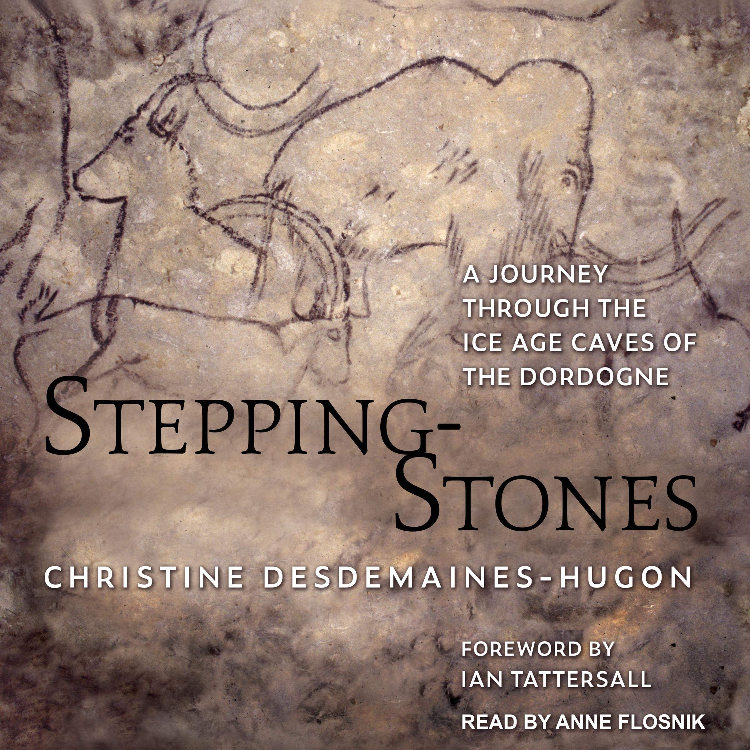 Cover art for Stepping-Stones