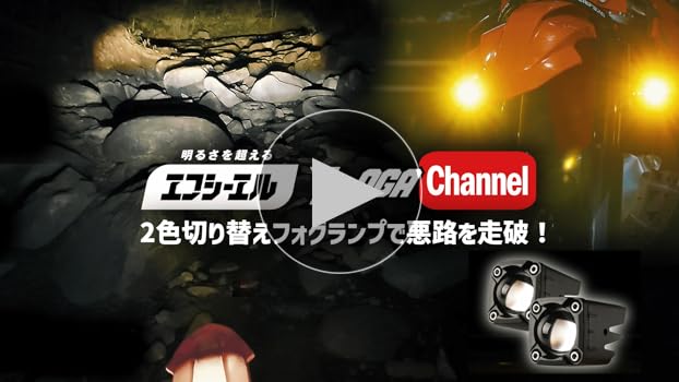 Amazon | fcl.(エフシーエル) バイク フォグランプ led 2色