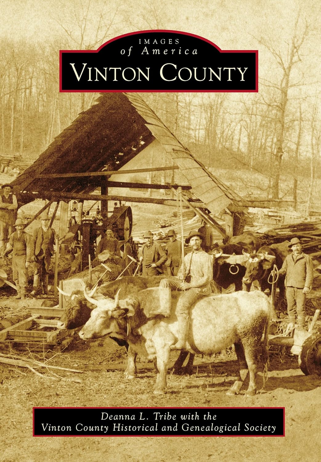 Vinton County (Images of America) eBook Tribe, Deanna L., The Vinton