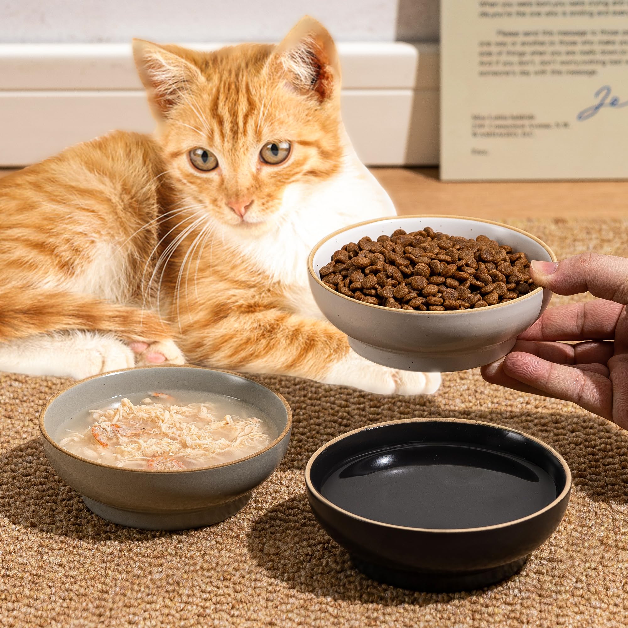 Cat Bowl Set of 3, Non Slip Dish Pet Cat Food Bowls, Shallow Water Bowl Cat Feeding Wide Bowls to Stress Relief of Whisker Fatigue, Pet Bowl for Dogs Rabbits Puppy Birds(Safe Food-Grade Ceramic) Gray