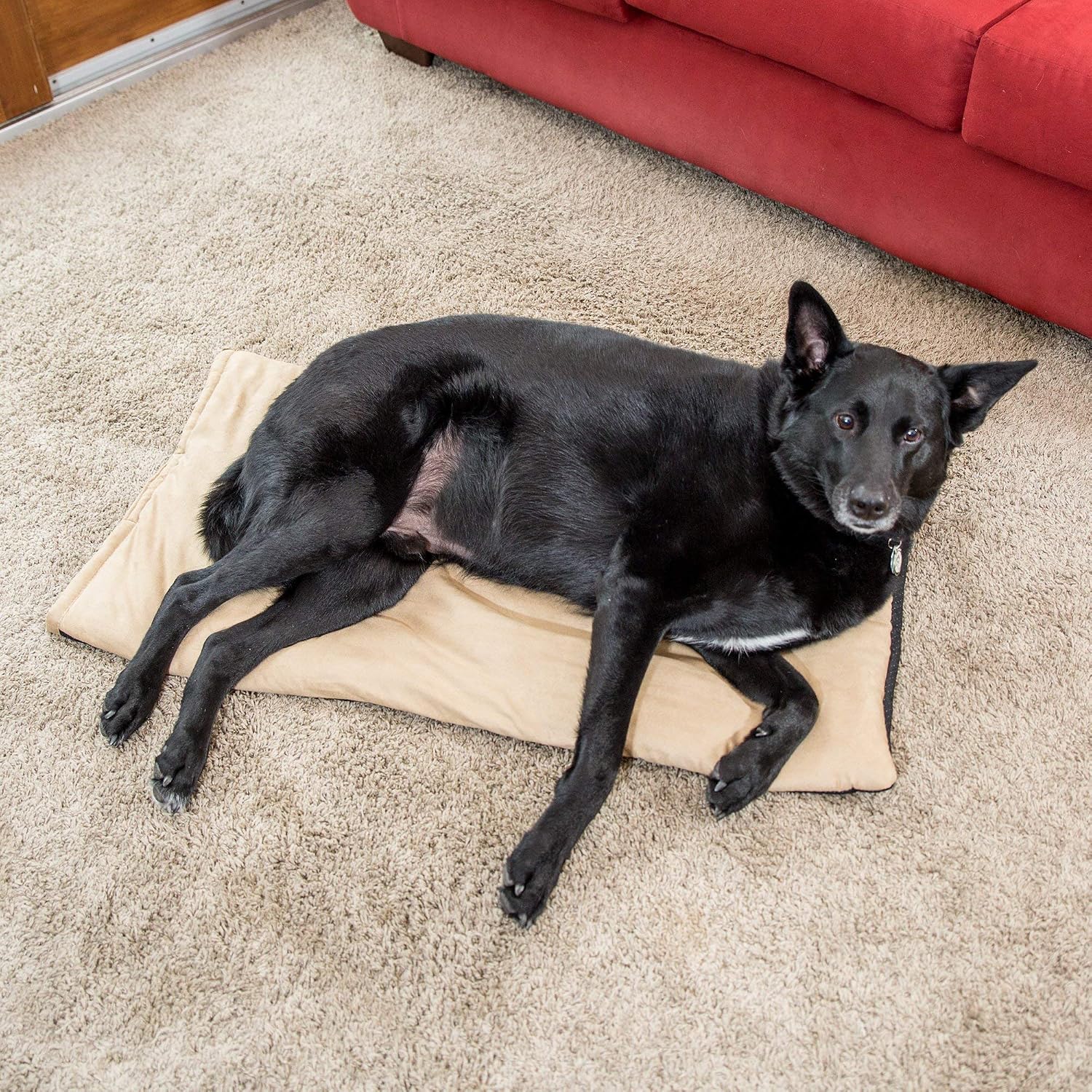 Premium Pet Bed Mat: Soft Self Warming Dog Bed - Crate Pad for Dogs and Cats - Medium Dog Beds, Small Dog Beds - Cat Bed with Reflective Core - Puppy Bed