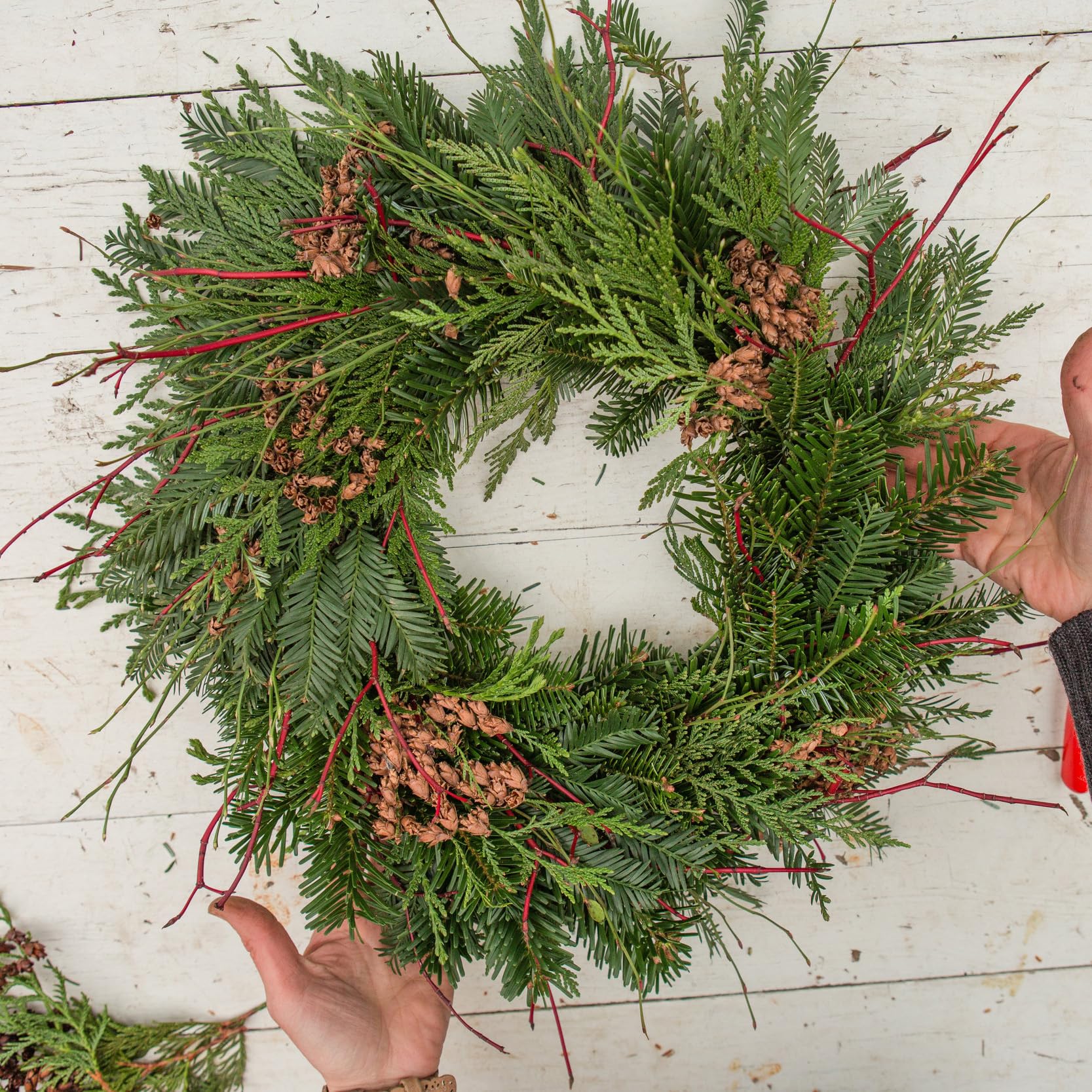 16.クリスマスリース Amazon.co.jp: MTB Garden 16インチ クリスマス ワイヤー リース