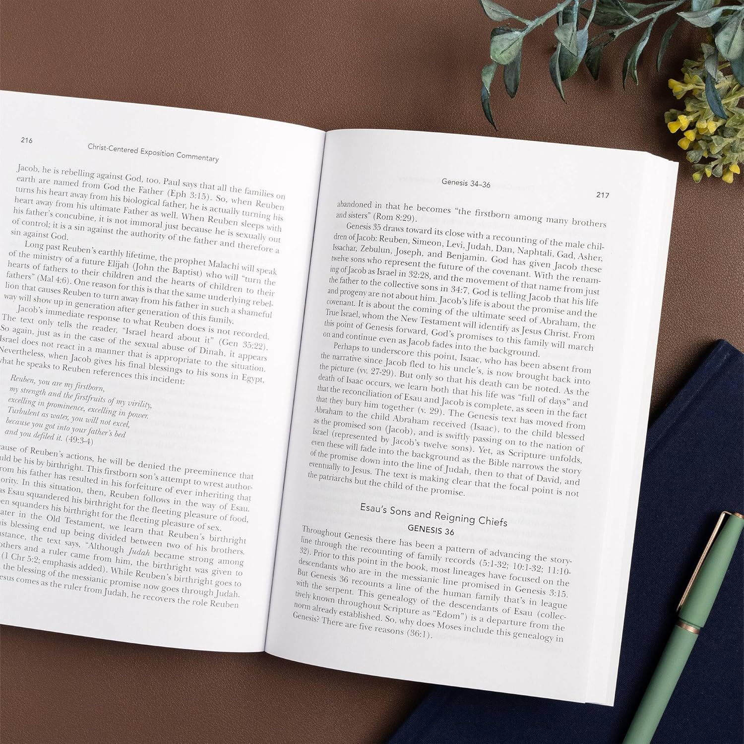 Exalting Jesus in Genesis (Christ-Centered Exposition Commentary) - Image 6