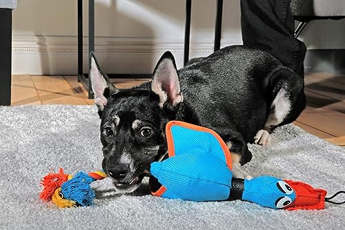 Miniatura 5 de Hartz Tuff Stuff - Juguete para perros para buceadores de nariz