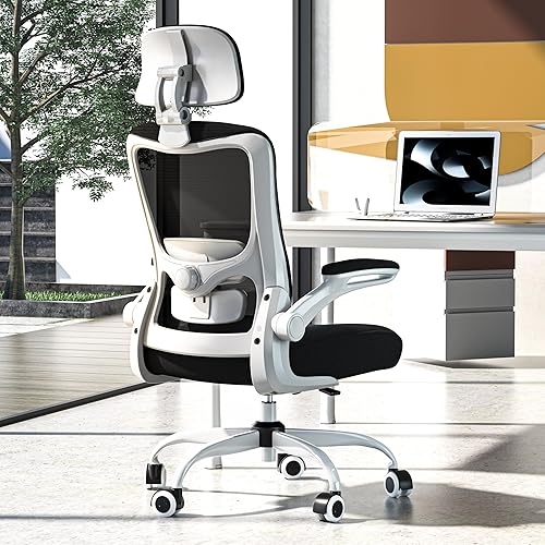 Zeonsit Ergonomic Office Chair, High Back Mesh Desk Chair with Adjustable Lumbar Support & Headrest, Flip-up Armrest, Computer Task Chairs for Home and Executive Office (W-Black)