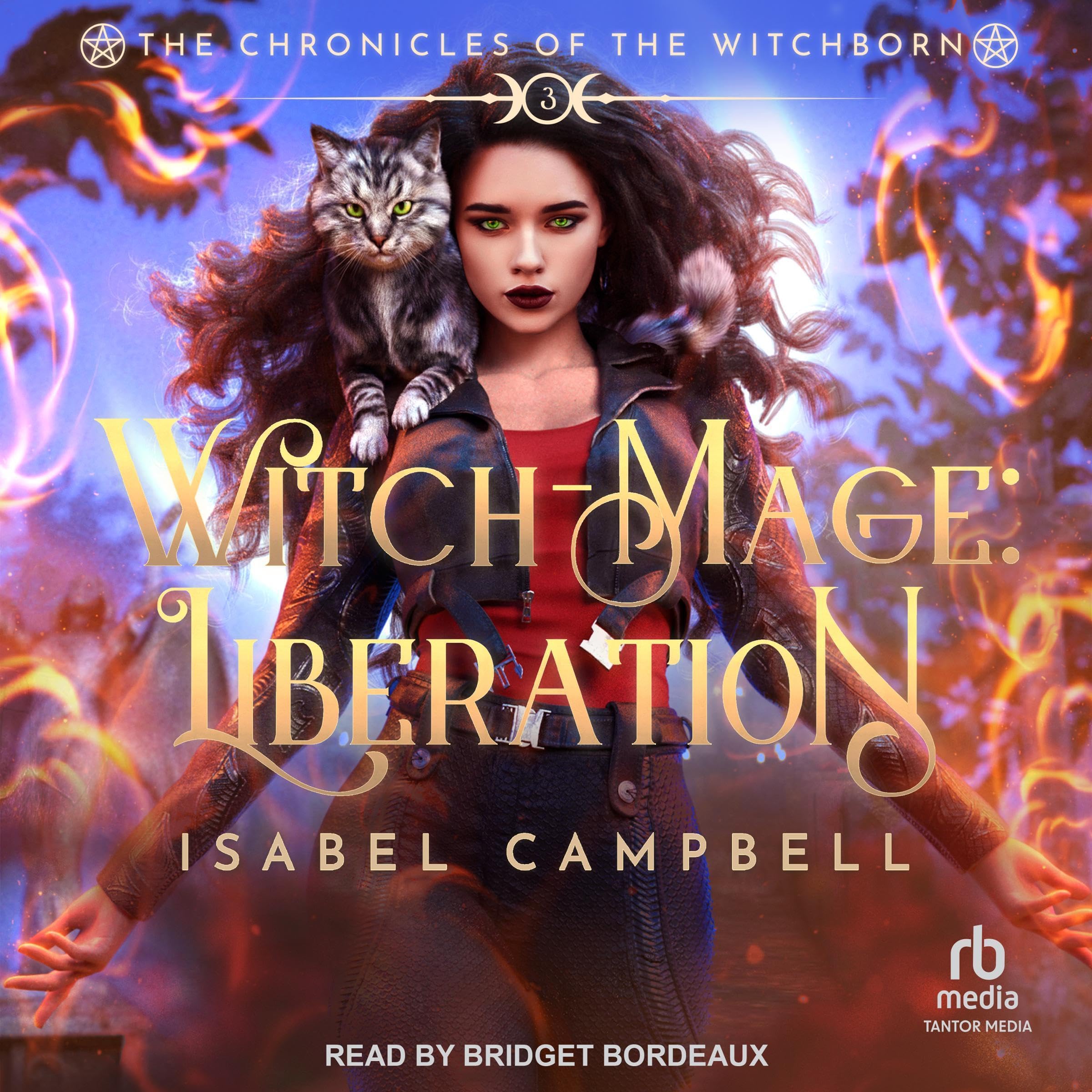 Cover art for Witch-Mage: Liberation