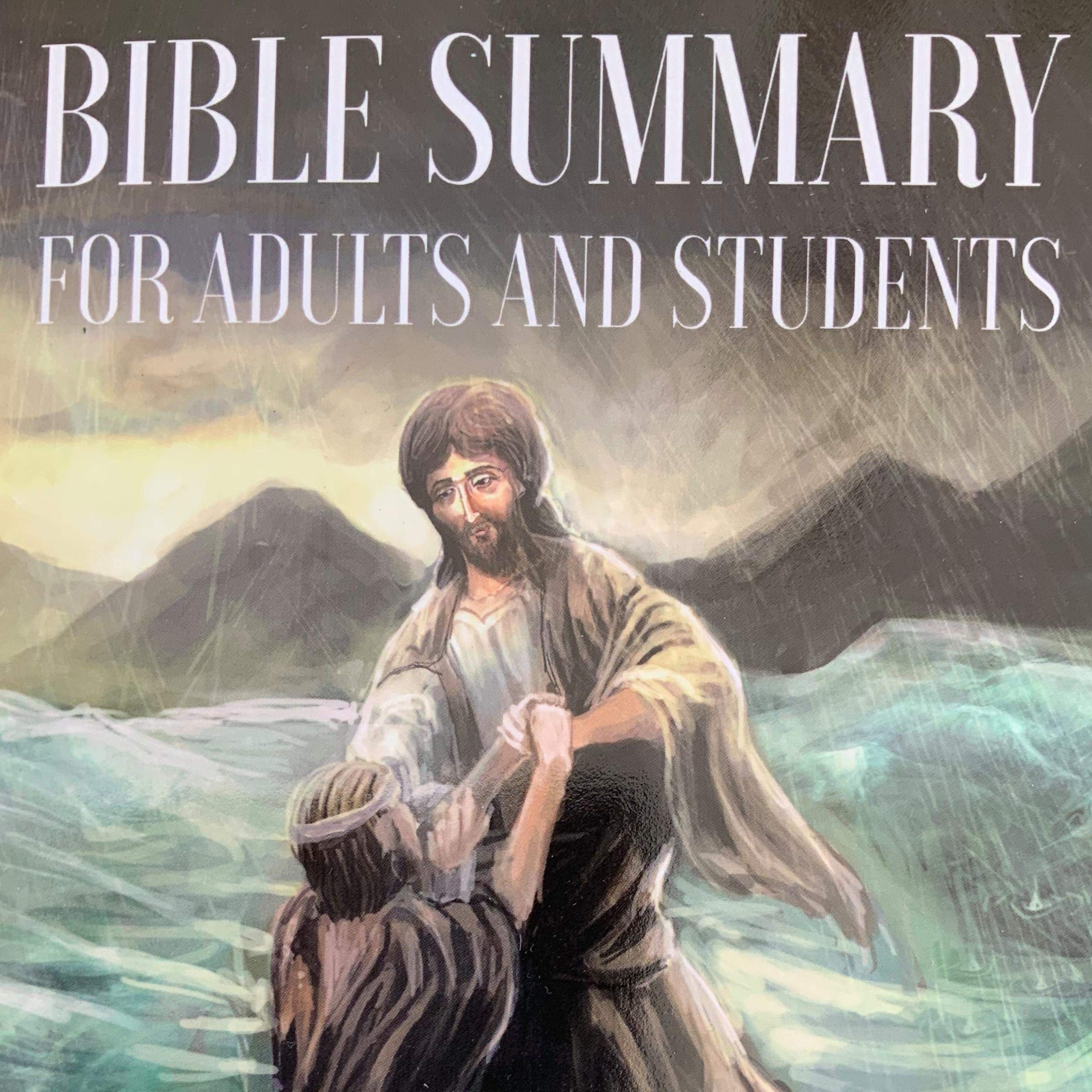 Bible Summary for Adults and Students