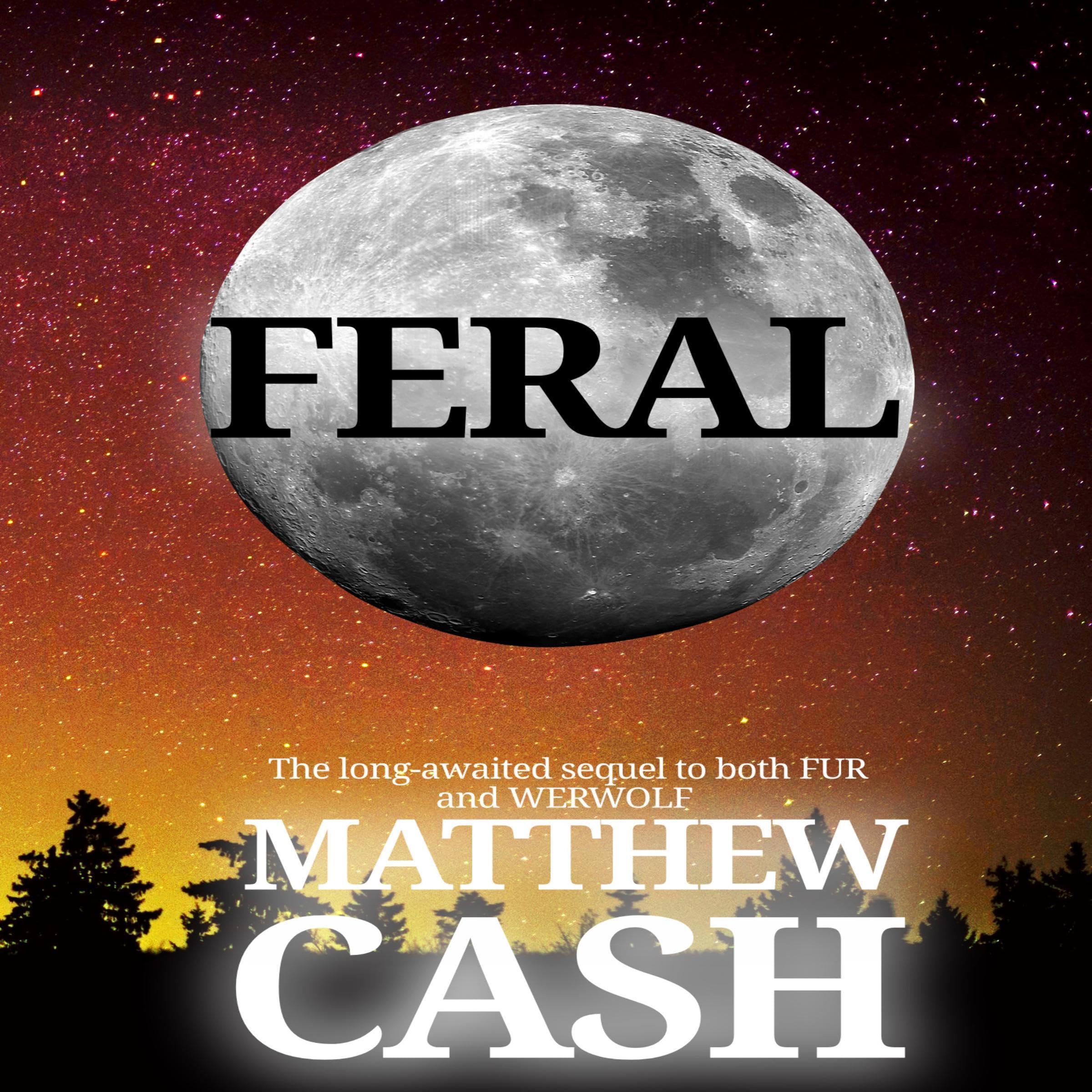 Cover art for Feral: Werwolf, Book 3