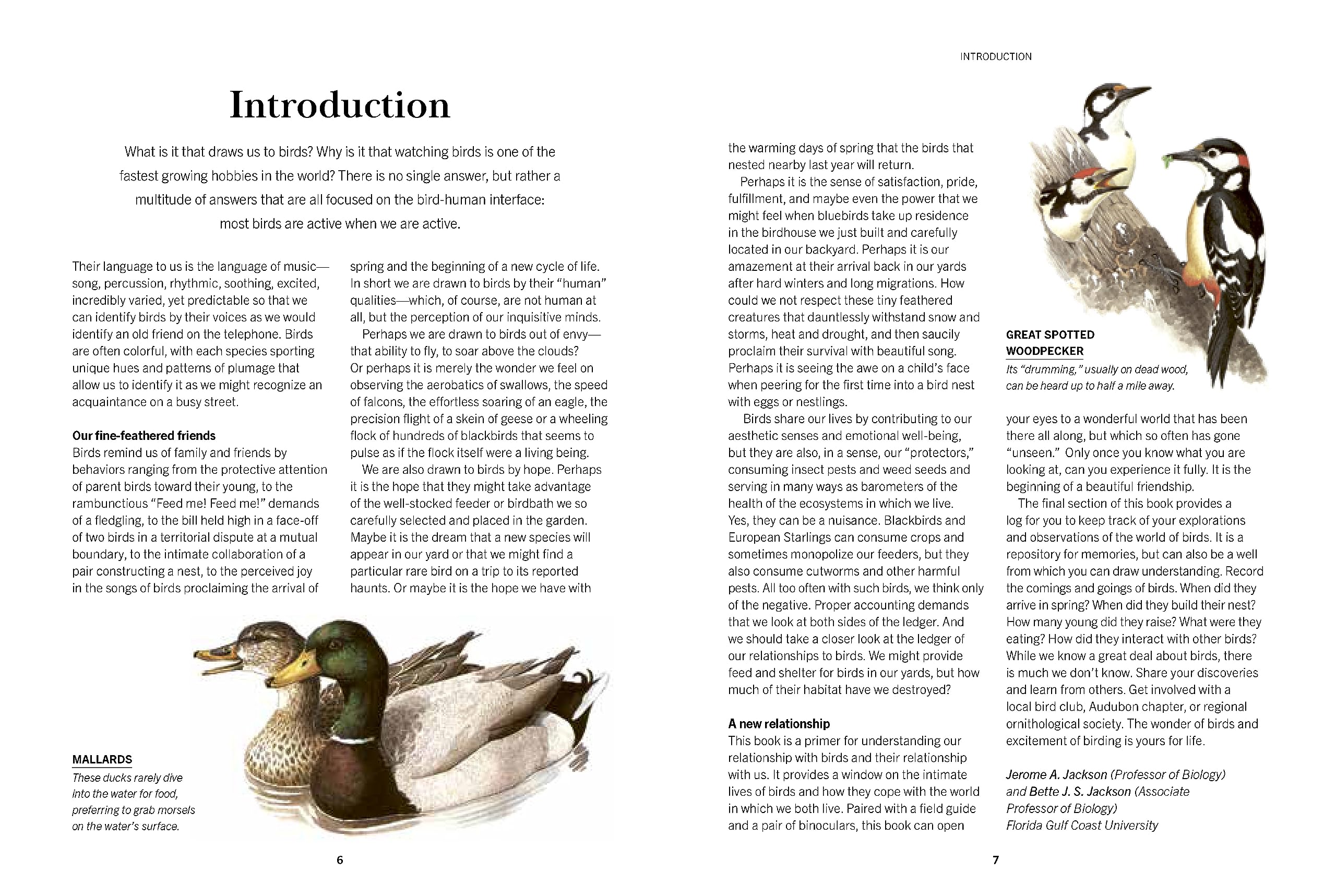 A Field Guide to Backyard Birds of North America: A Visual Directory of the Most Popular Backyard Birds - Includes a 2-Year Logbook - Image 4