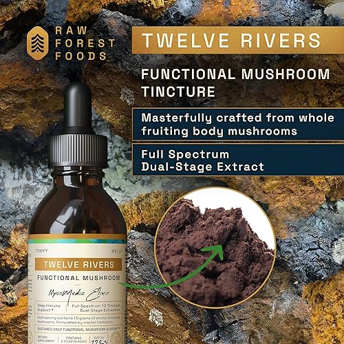 Miniatura 2 de RAW Forest Foods Tintura de elixir MycoMedic de hongos funcionales de doce ríos - Extracción 12 verdadera de doble etapa - Chai de invierno
