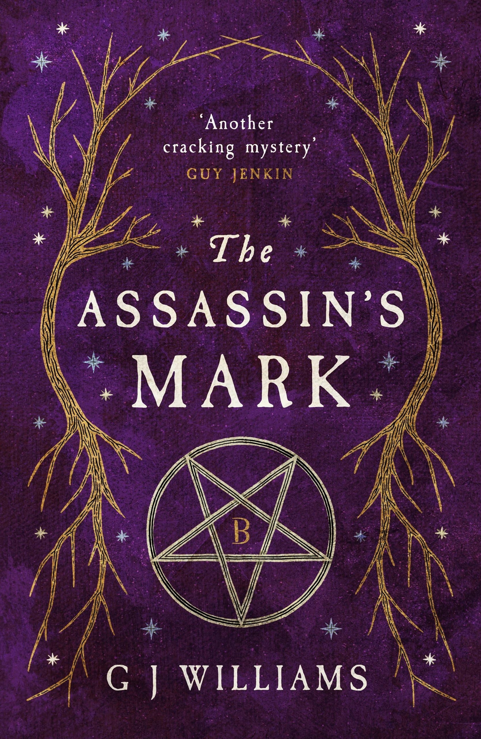 The Assassins Mark by G Williams - 9781917163040