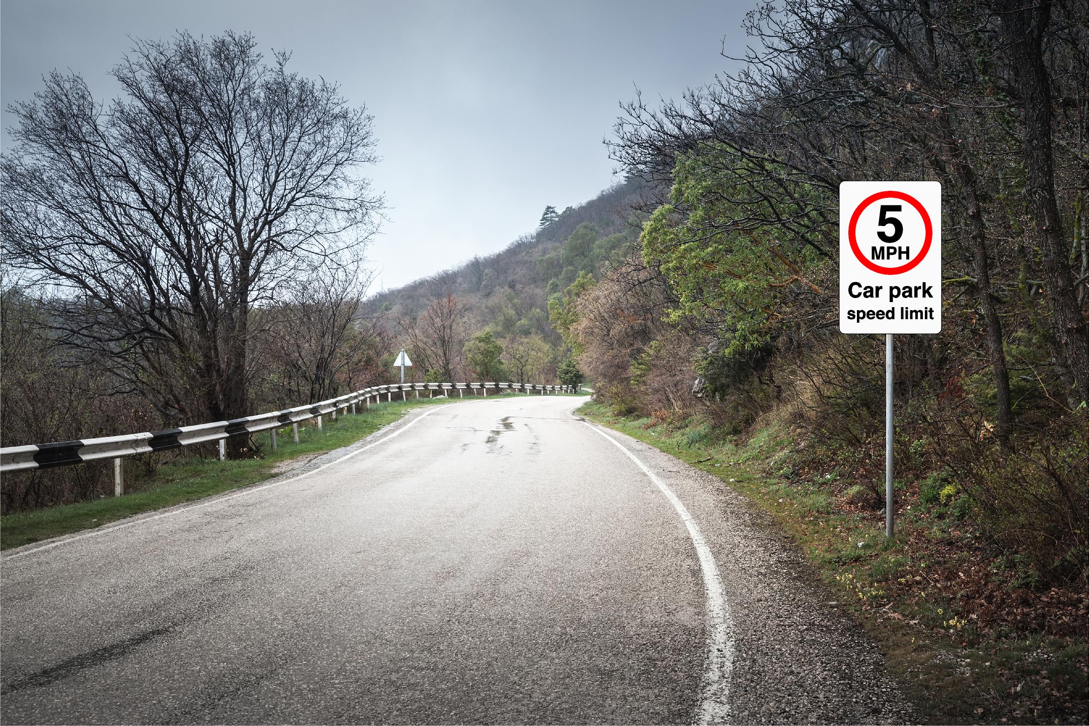 Limite di velocità di 5 mph per bambini che giocano
