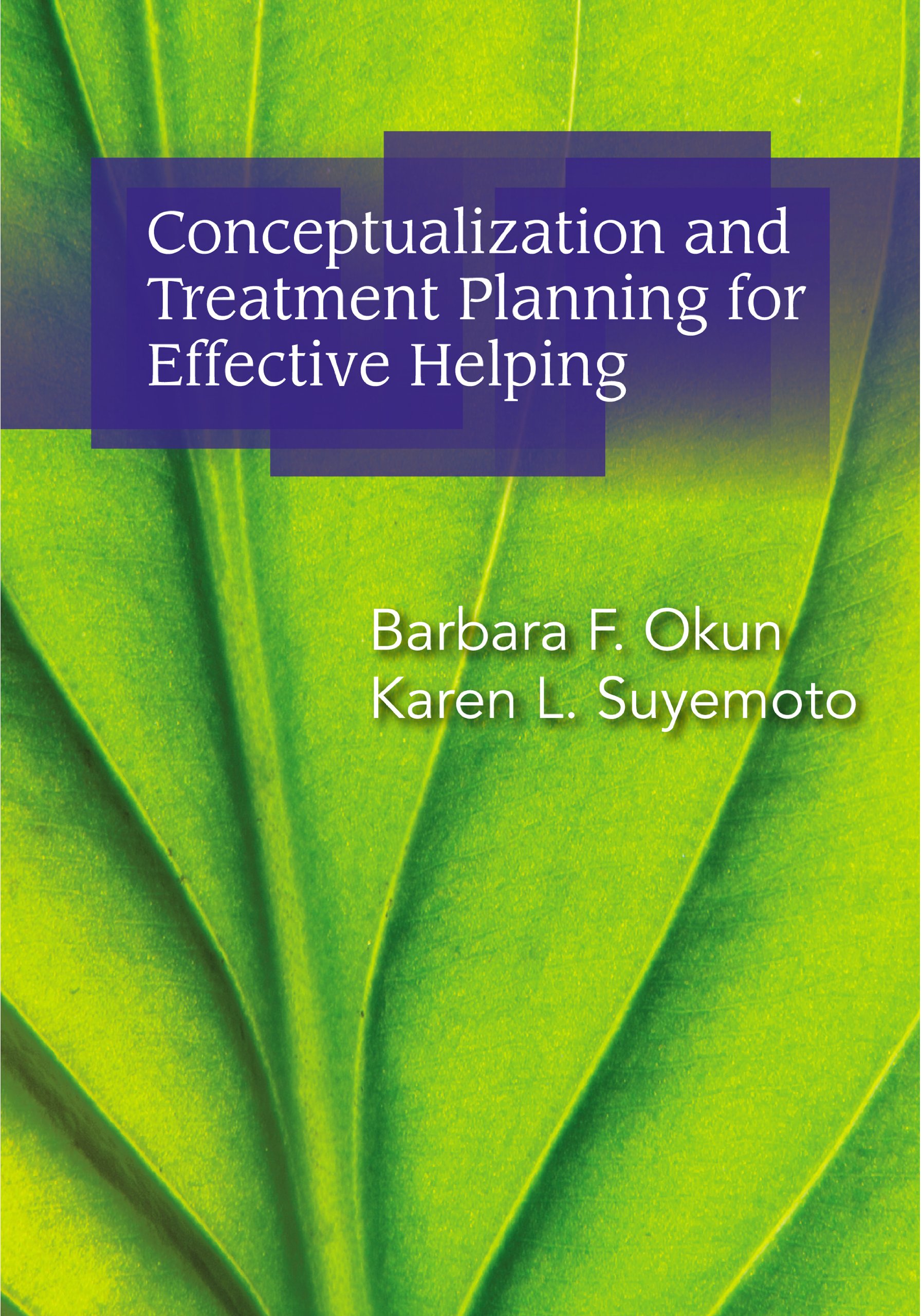 Conceptualization and Treatment Planning for Effective Helping