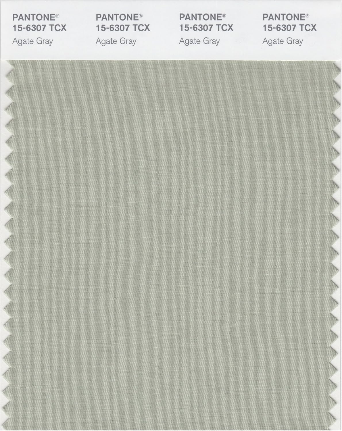 PANTONE Smart 15-6307X Color Swatch Card, Agate Gray