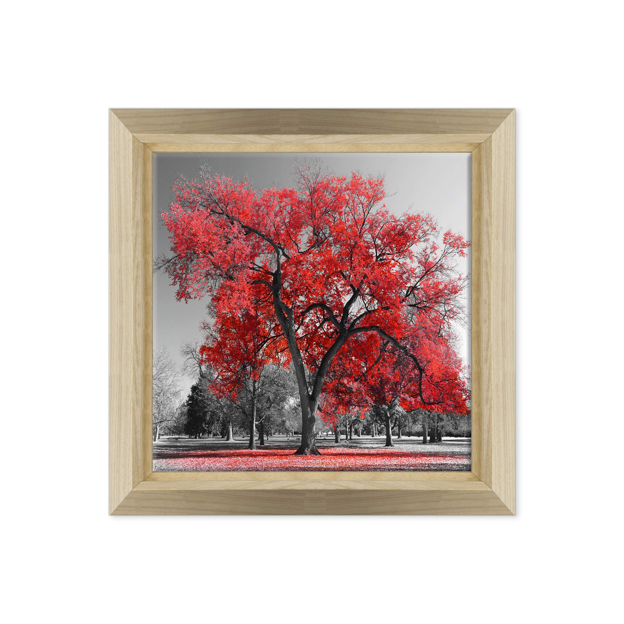 ConKrea Cuadro sobre lienzo enmarcado – con marco – Amapolas rojas – Flores Naturaleza Flowers – 70 x 70 cm – Estilo diseño madera natural – (cód. 6677)