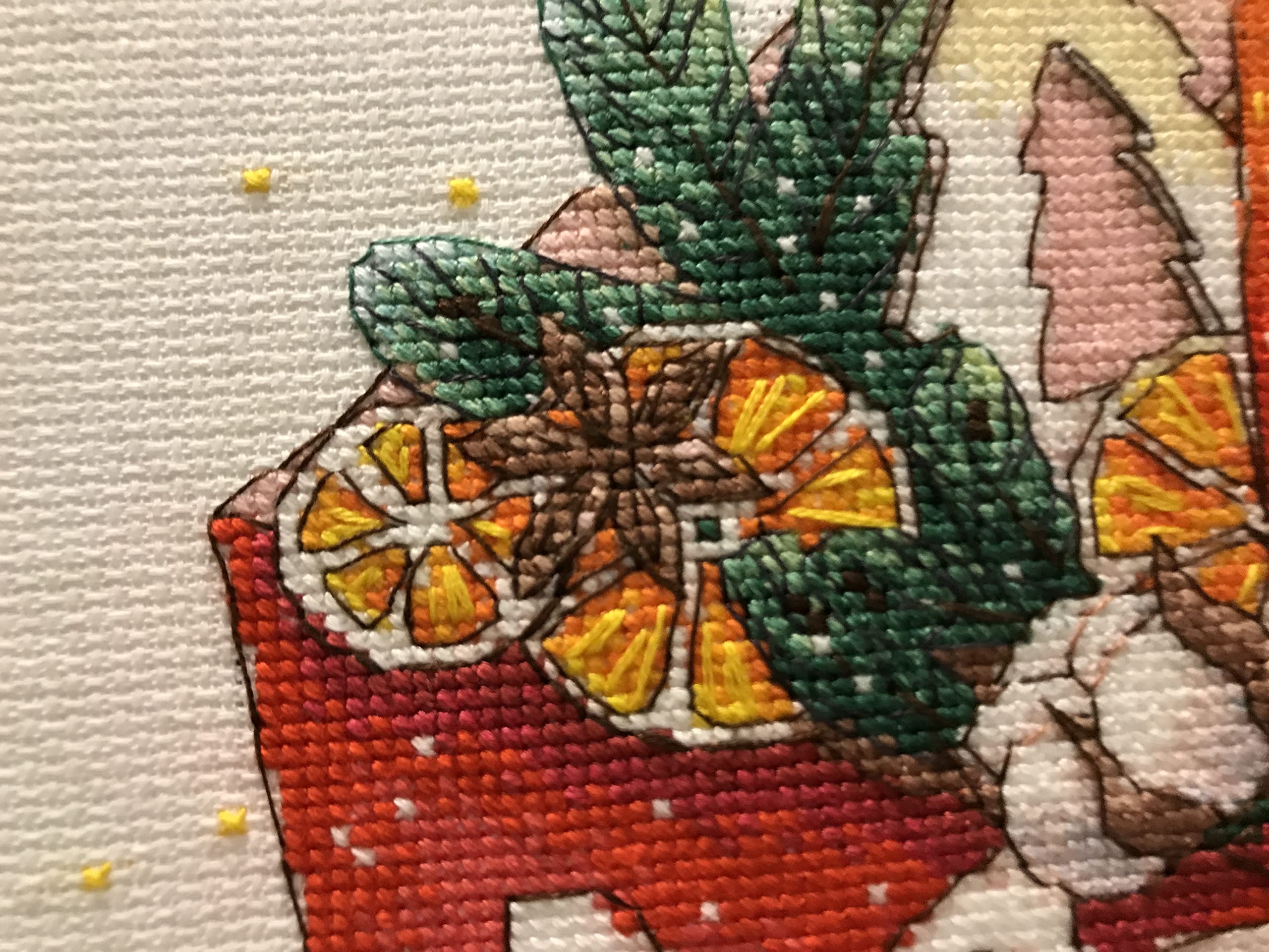 Amazon | Riolis クロスステッチセット マルチカラー 20×20cm