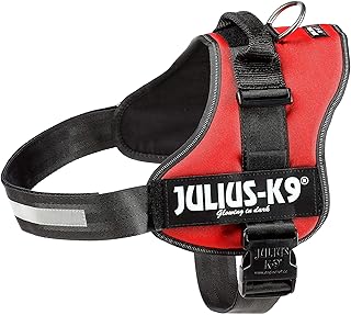 amazon julius k9 mini