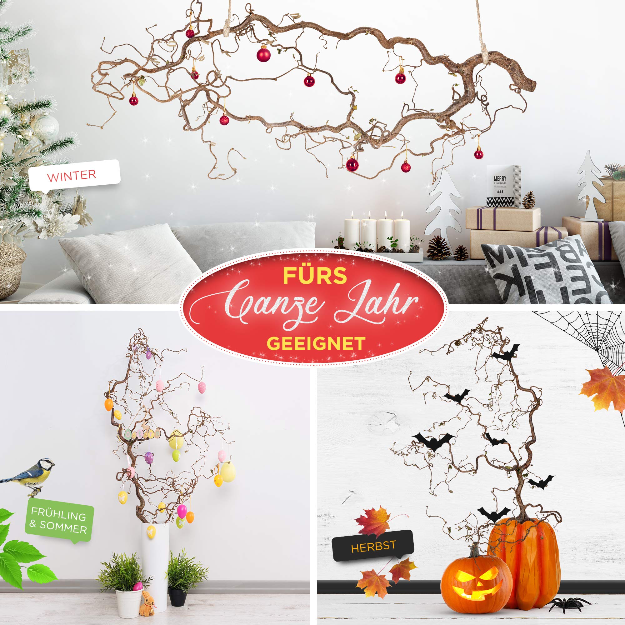 Schön gedrehter, echter Korkenzieher Ast Zweig | Deko Ast ca. 80cm gross zum Aufhängen am Fenster oder für die Vase | Ideal als Osterdeko, Frühlingsdeko oder Weihnachtsdeko | Deko Zweige für Bodenvase