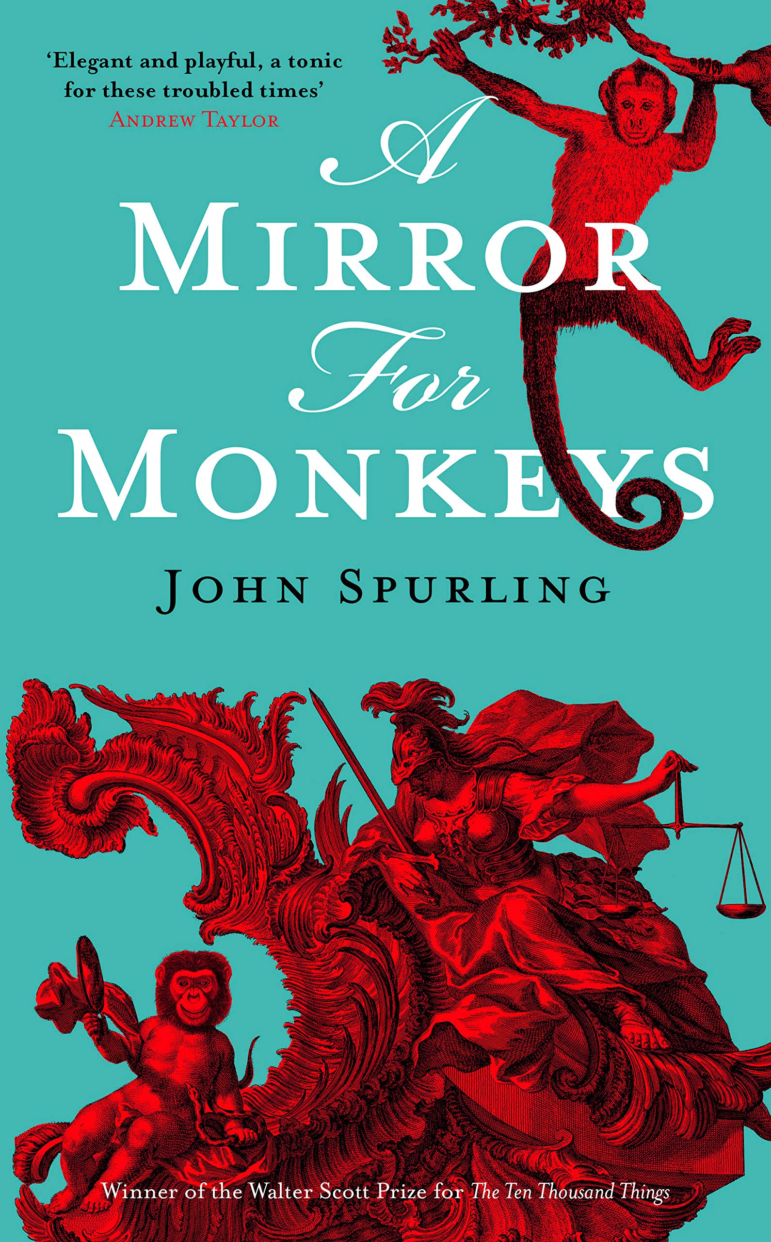 A Mirror For Monkeys