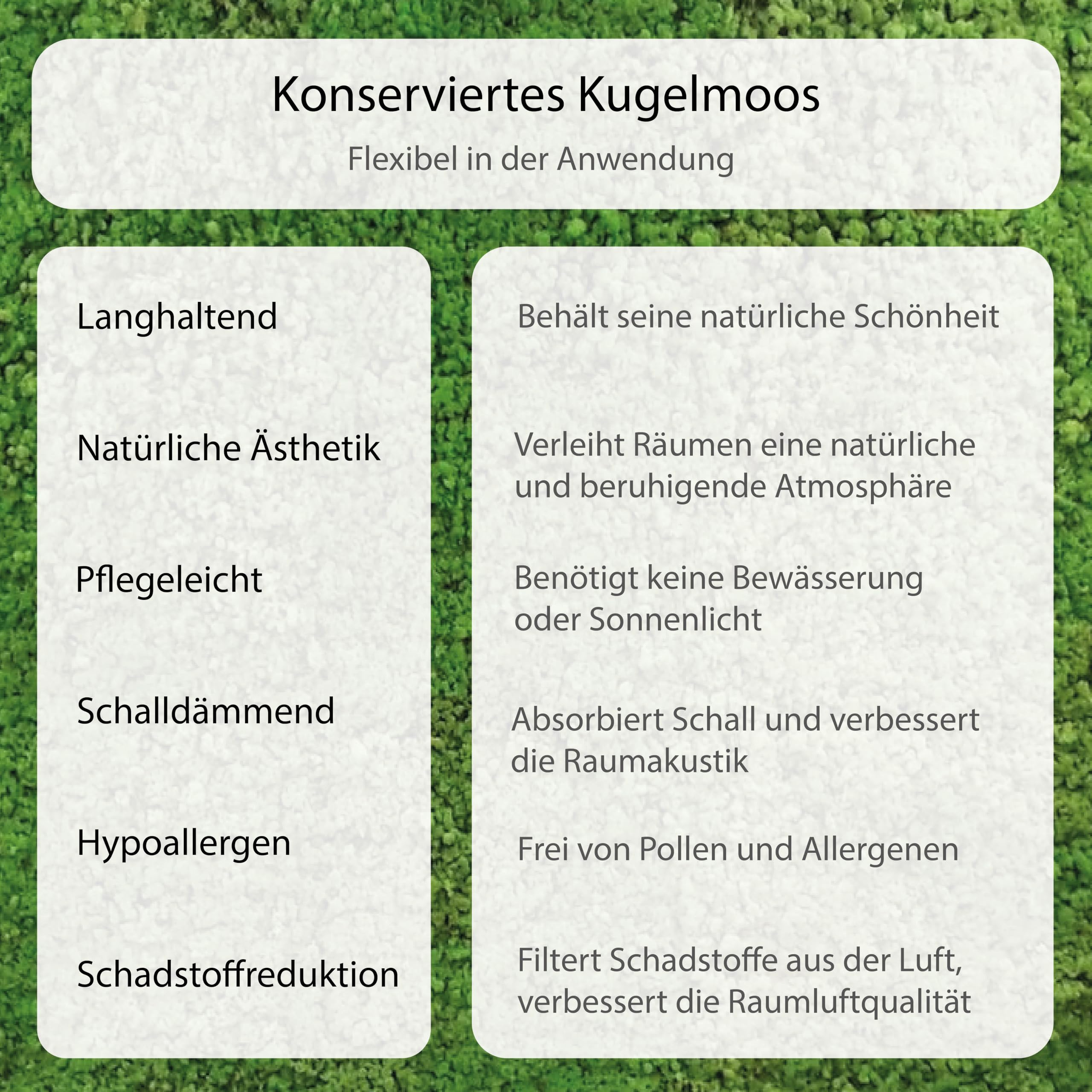 Rundes Bild aus konserviertem Kugelmoos - Moosbild in unterschiedlichen Farben (Schwarz, 30cm)