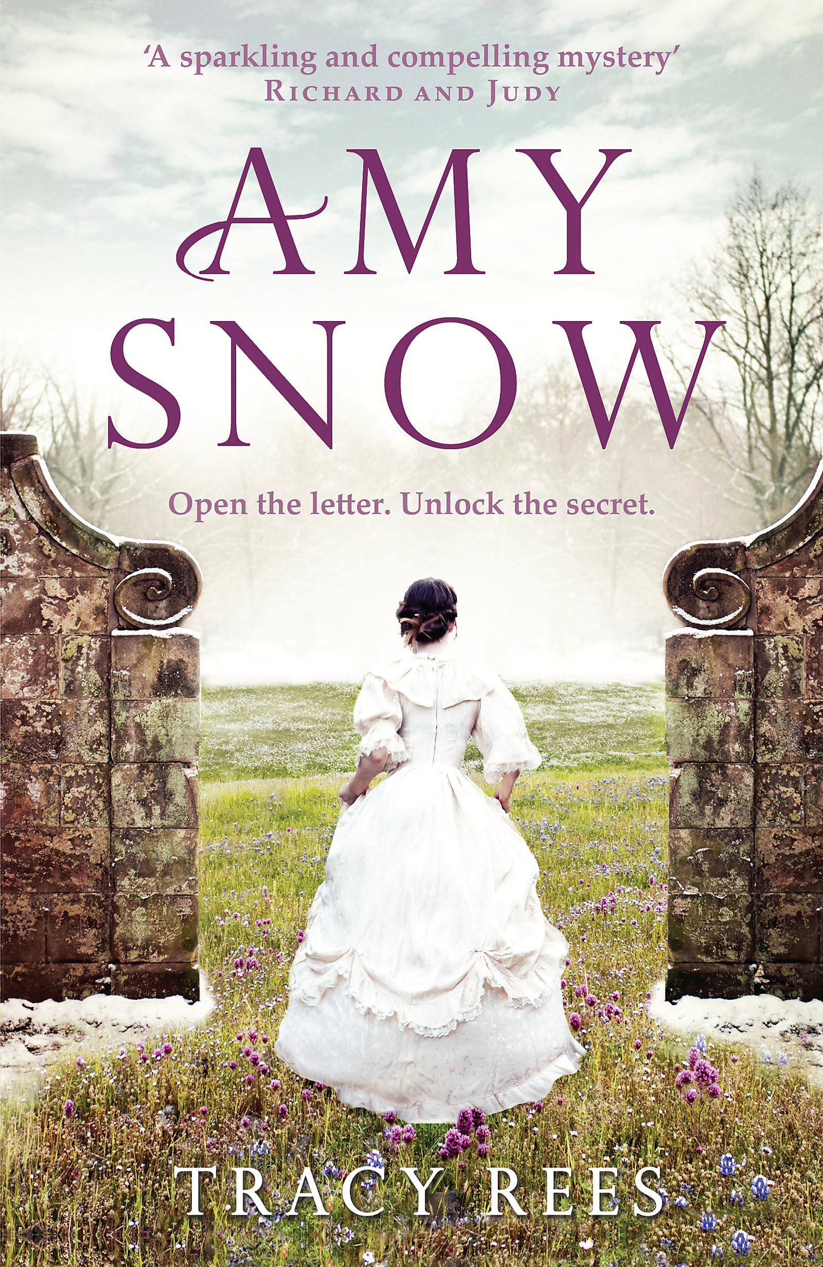 Amy Snow by Tracy Rees (Paperback Book)