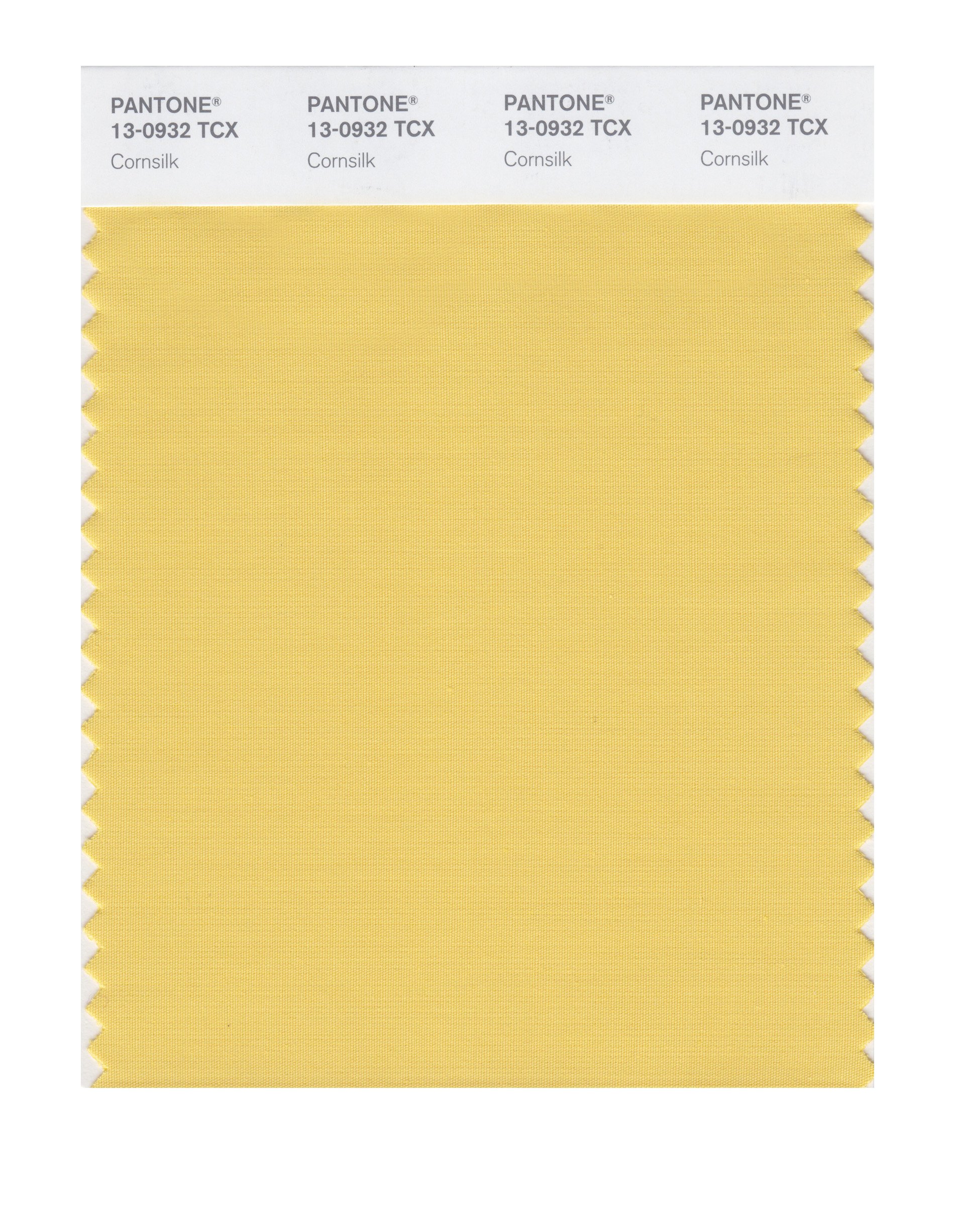 PANTONE SMART 13-0932X Color Swatch Card, Cornsilk - Wall Decor