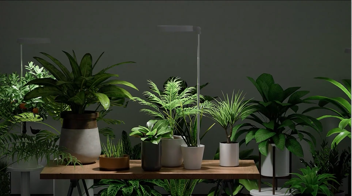 GYTF-Halo-Plant-Grow-Light-6000K-White-LED-Full-Spectrum-Growing-Lamp-for-Indoor-Plants-Succulents-Mini-Bonsai-Small-Plants-Height-Adjustable-Dimmable-Timer-481218Hrs