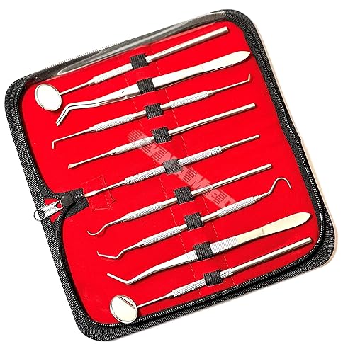 Miniatura 3 de Premium Alemán Dental Scaler Pick Herramientas de acero inoxidable con espejo de inspección Set 9 PCS