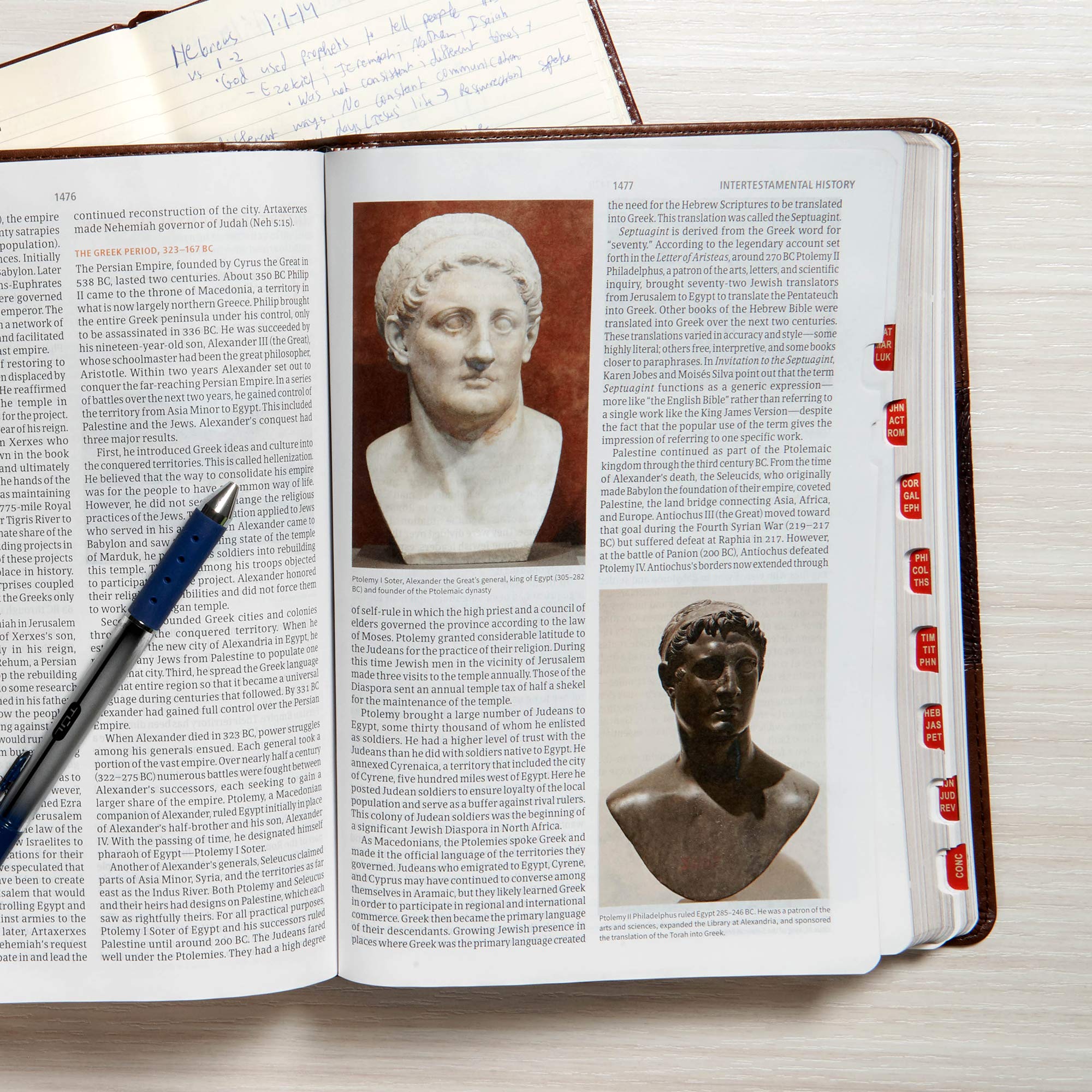 CSB Study Bible, Mahogany LeatherTouch, Red Letter, Study Notes and Commentary, Illustrations, Articles, Word Studies, Outlines, Timelines, Easy-to-Read Bible Serif Type - Image 7