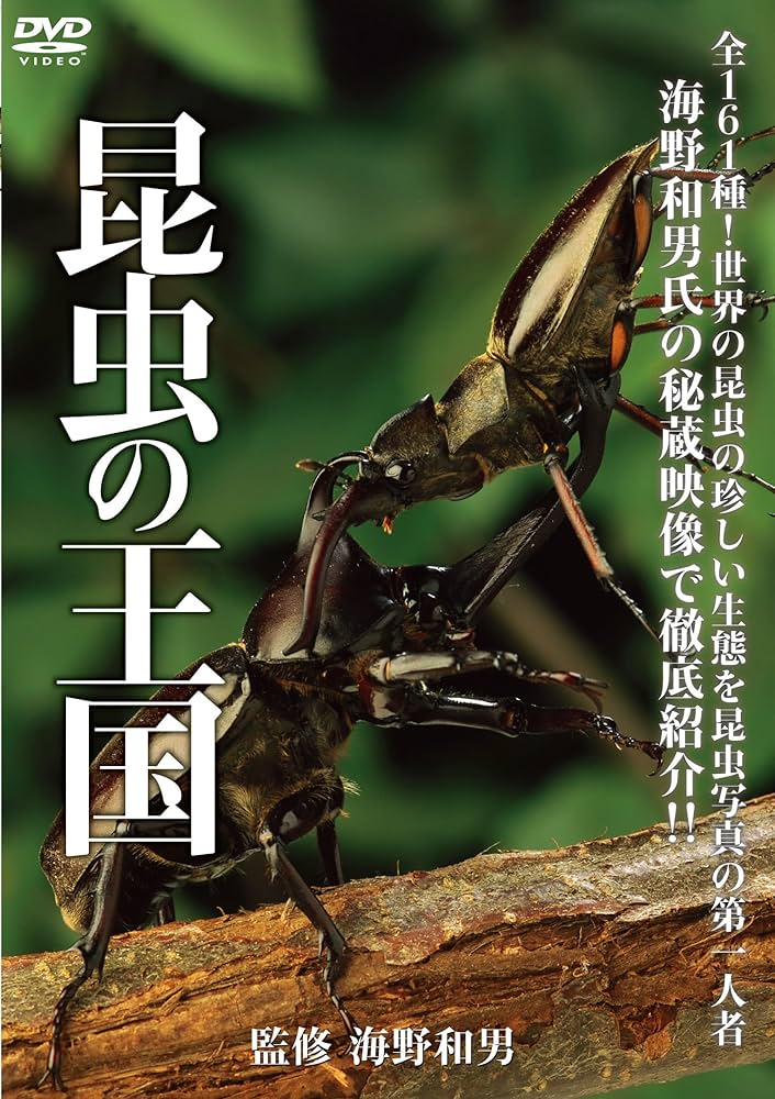 BBC 昆虫の世界　DVD 2枚セット　ライフインザアンダーグラウス BBC ライフ・イン・ザ・アンダーグロウス/昆虫の世界 DVD-BOX
