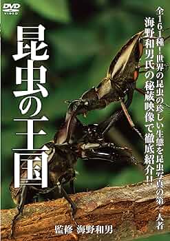 ★★送料無料！昆虫の世界 DVD-BOX 91GReQ42U7L._UF350,350_QL50_.jpg