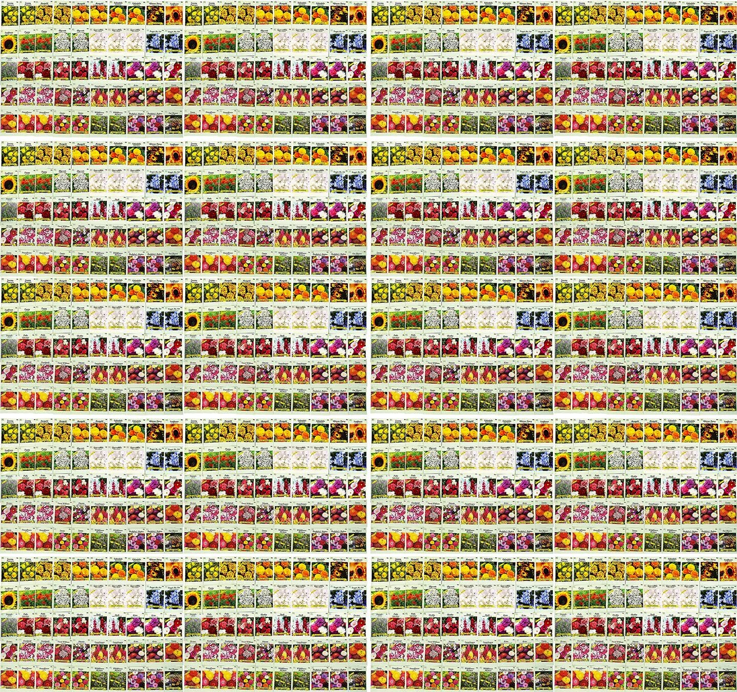 Set of 1000 Assorted Valley Green Flower Seed Packets! Flower Seeds in Bulk - 20+ Varieties Available! (1000)